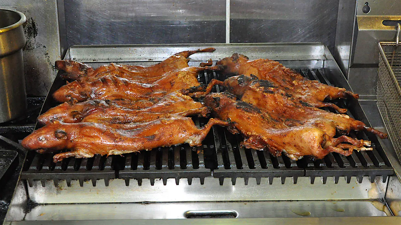 GrilledGuineaPig.jpeg Two rows of guinea pigs are roasted on a large grill in a restaurant