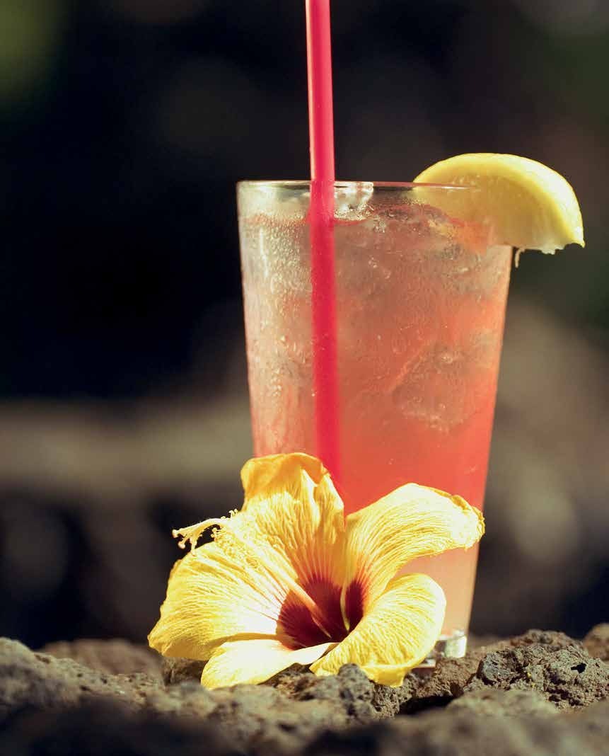 A glass of light pink alcohol with a pink straw and a wedge of lemon on the rim of the glass. There is a Hibiscus flower in front of the glass.  