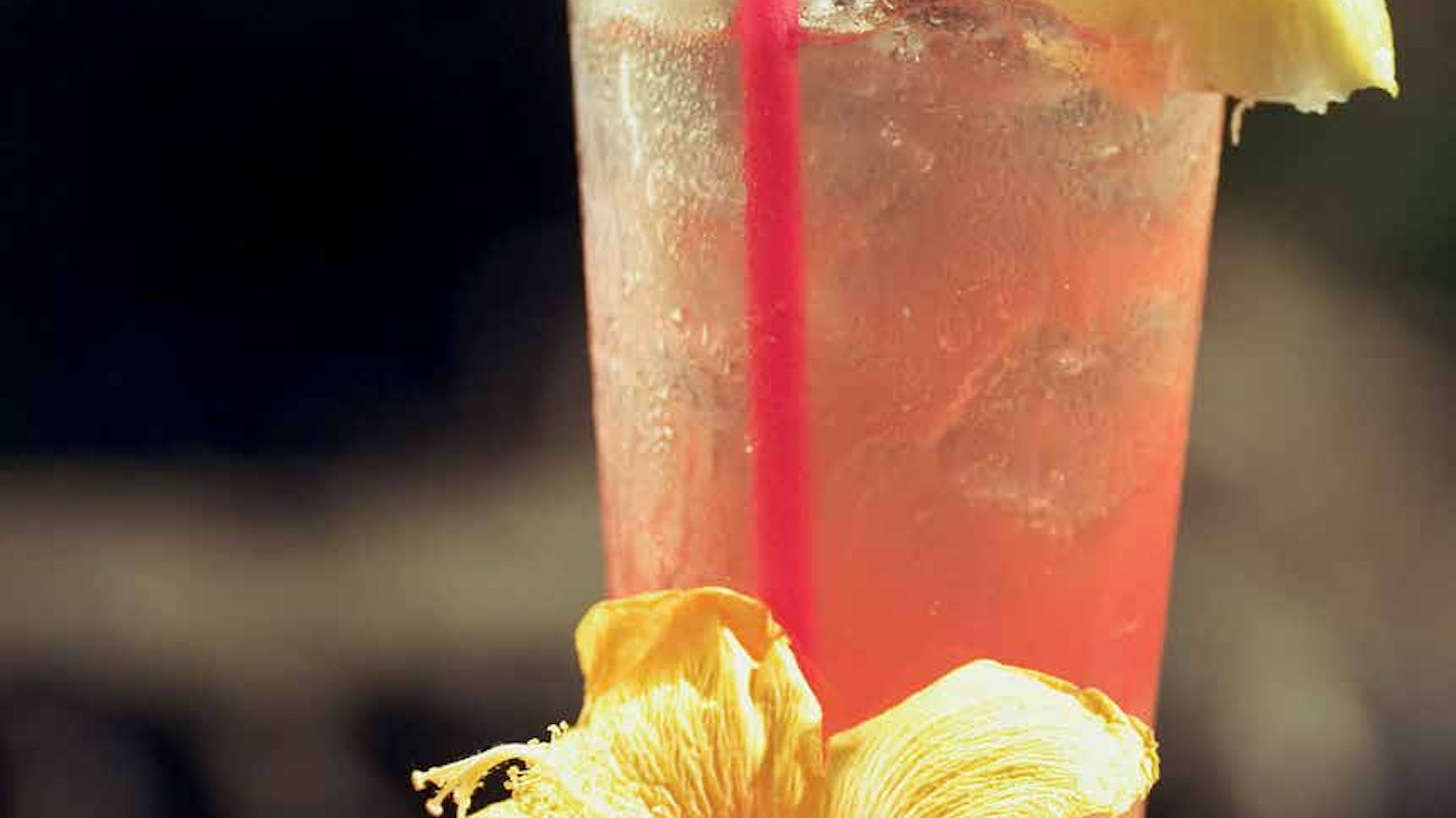 A glass of light pink alcohol with a pink straw and a wedge of lemon on the rim of the glass. There is a Hibiscus flower in front of the glass. 