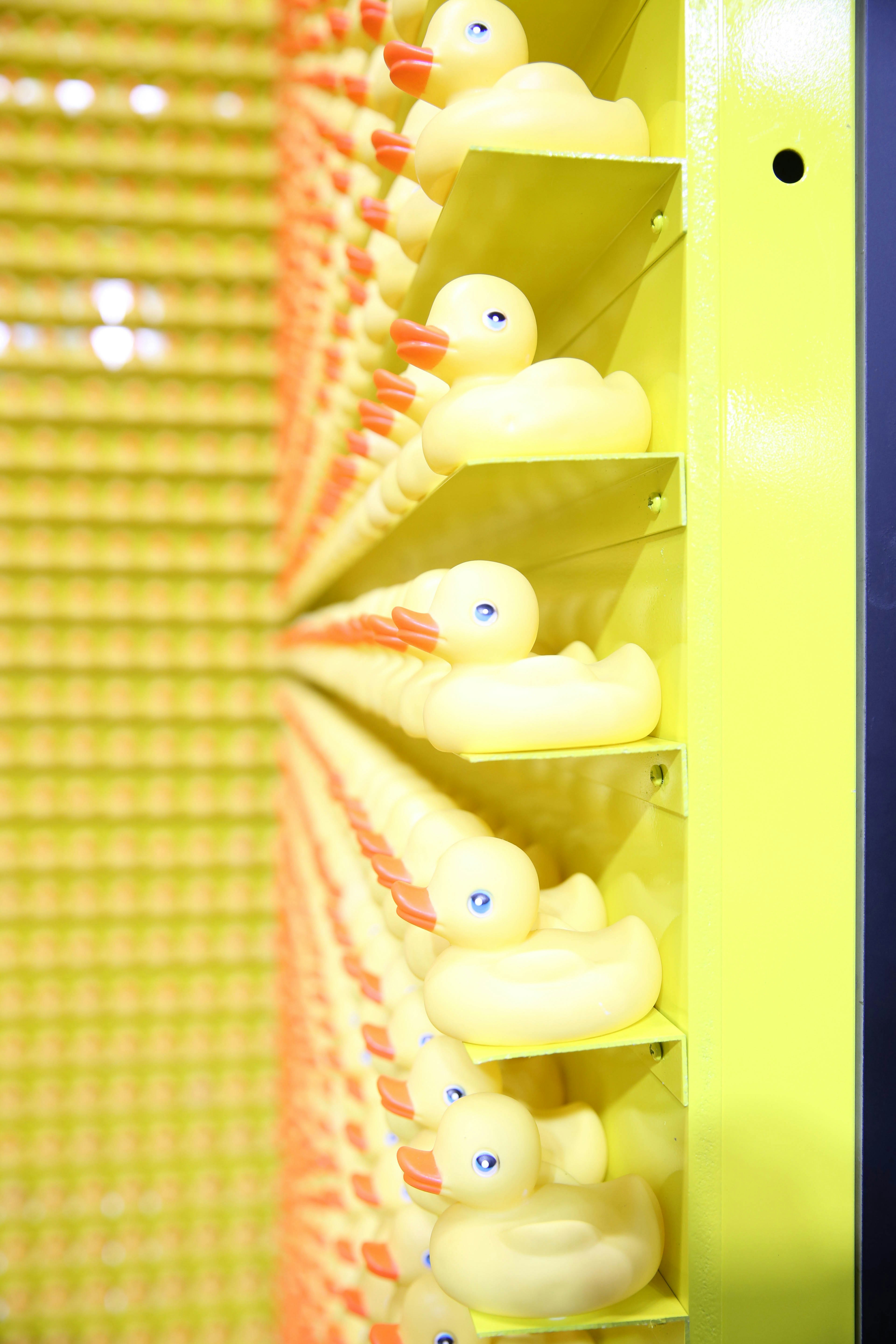 An installation featuring floor-to-ceiling shelves of yellow rubber ducks