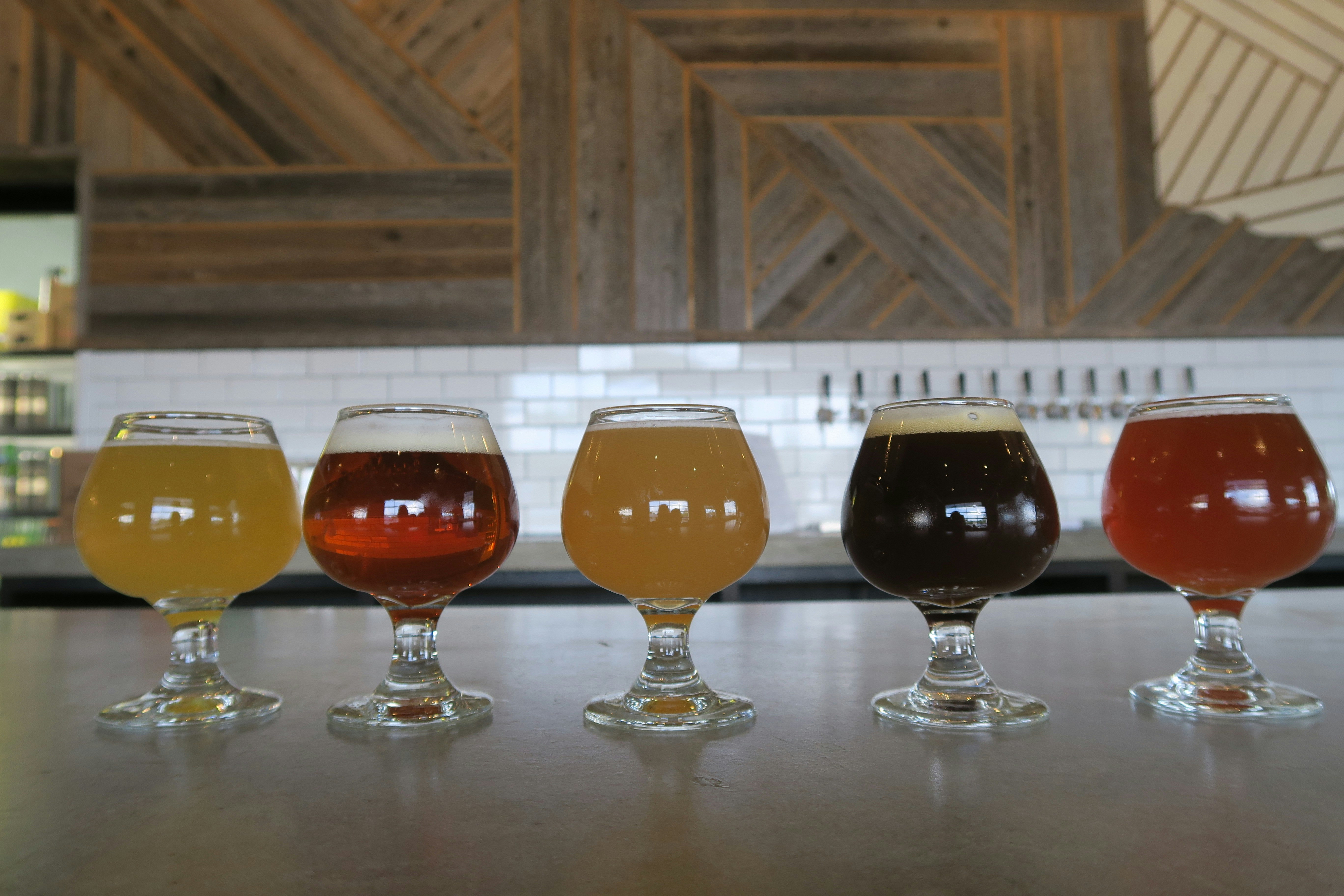 Five glasses of beer of varying colors sit on a light-colored bar