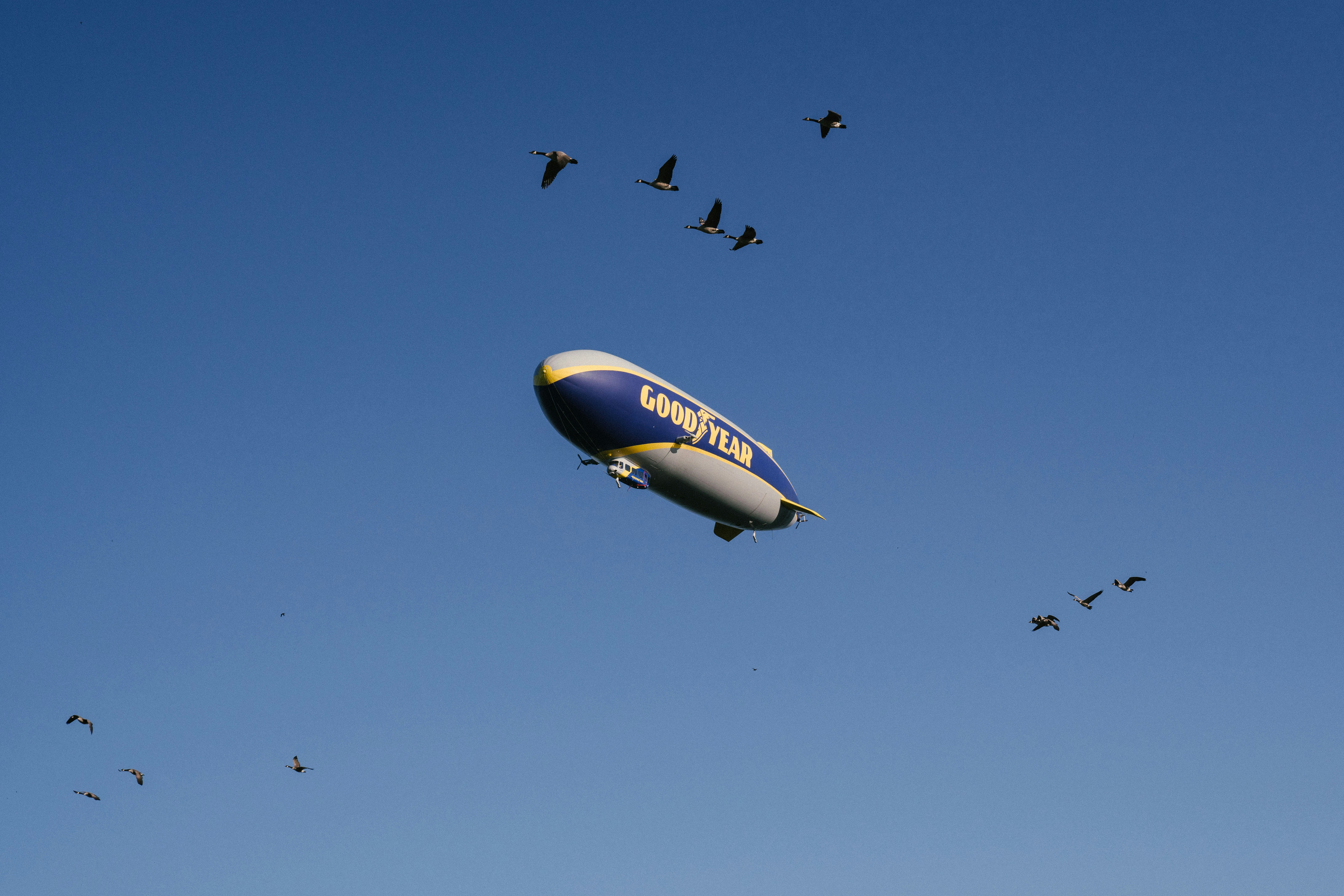 The famous Goodyear Blimp in a cloudless sky