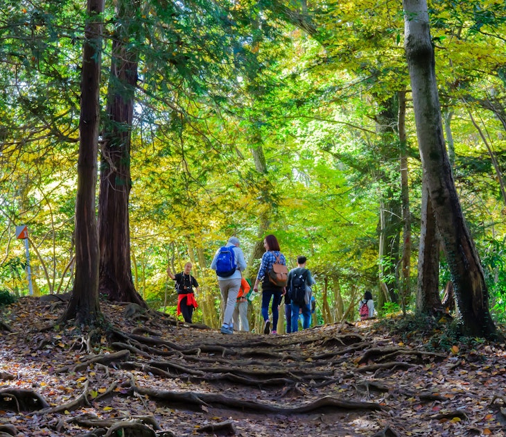 Hiking_Mount_Takao_Tokyo_S.jpg