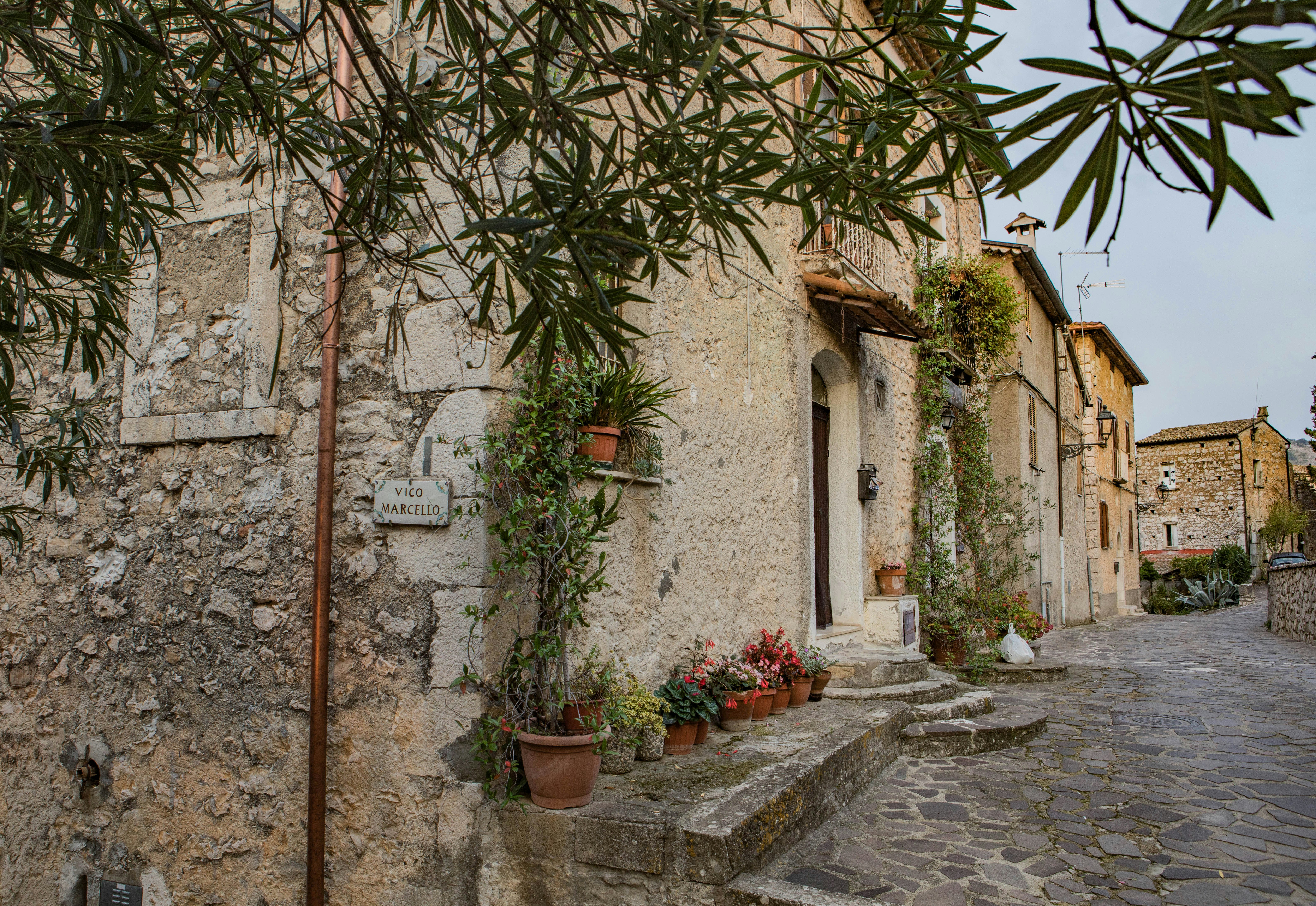 The corner of the winding, cobbled, medieval streets of Pico is marked with a sign reading Vico Marcello. Vines and potted plants line the exterior of the stone and clay houses, while in the immediate foreground the branches of an olive tree reach out from the viewer's vantage point. 