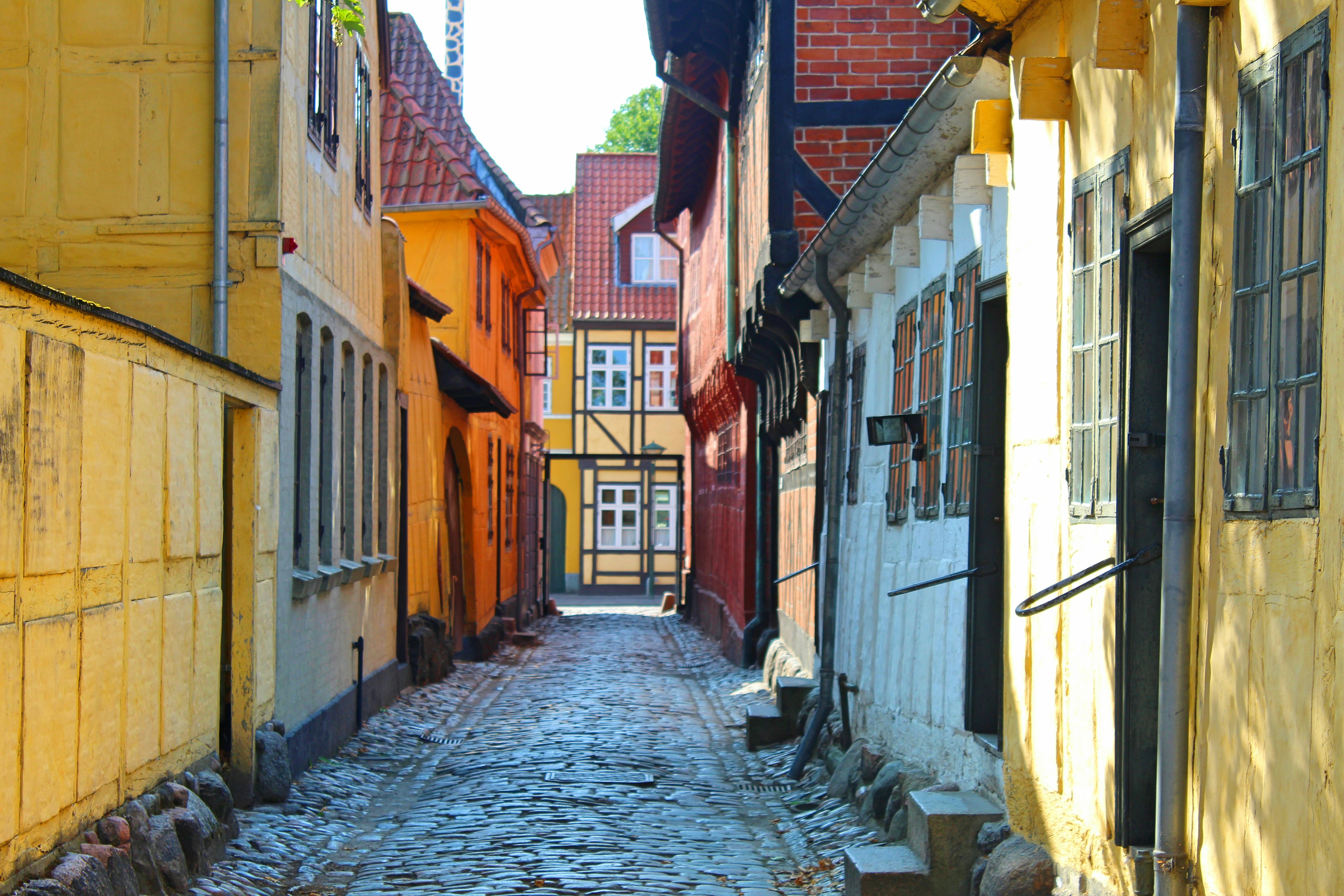 A narrow cobbled street in Møntergården, Odense, with brightly painted buildings.