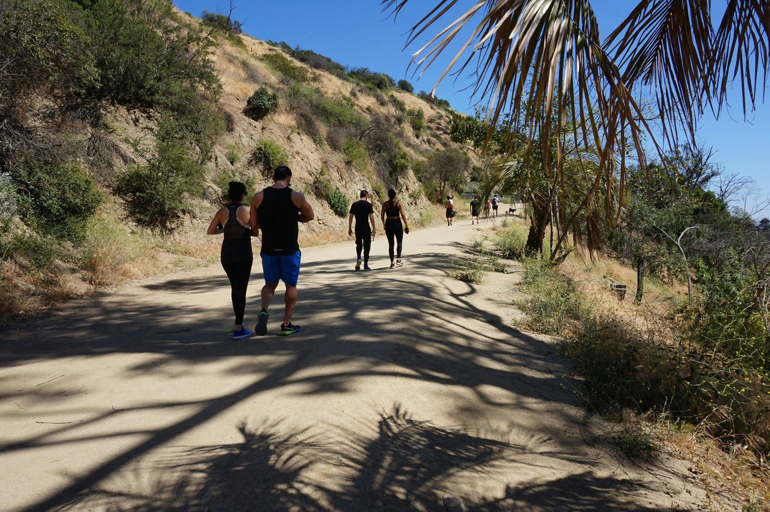 Pairs of hikers head up a trail in the Hollywood Hills.