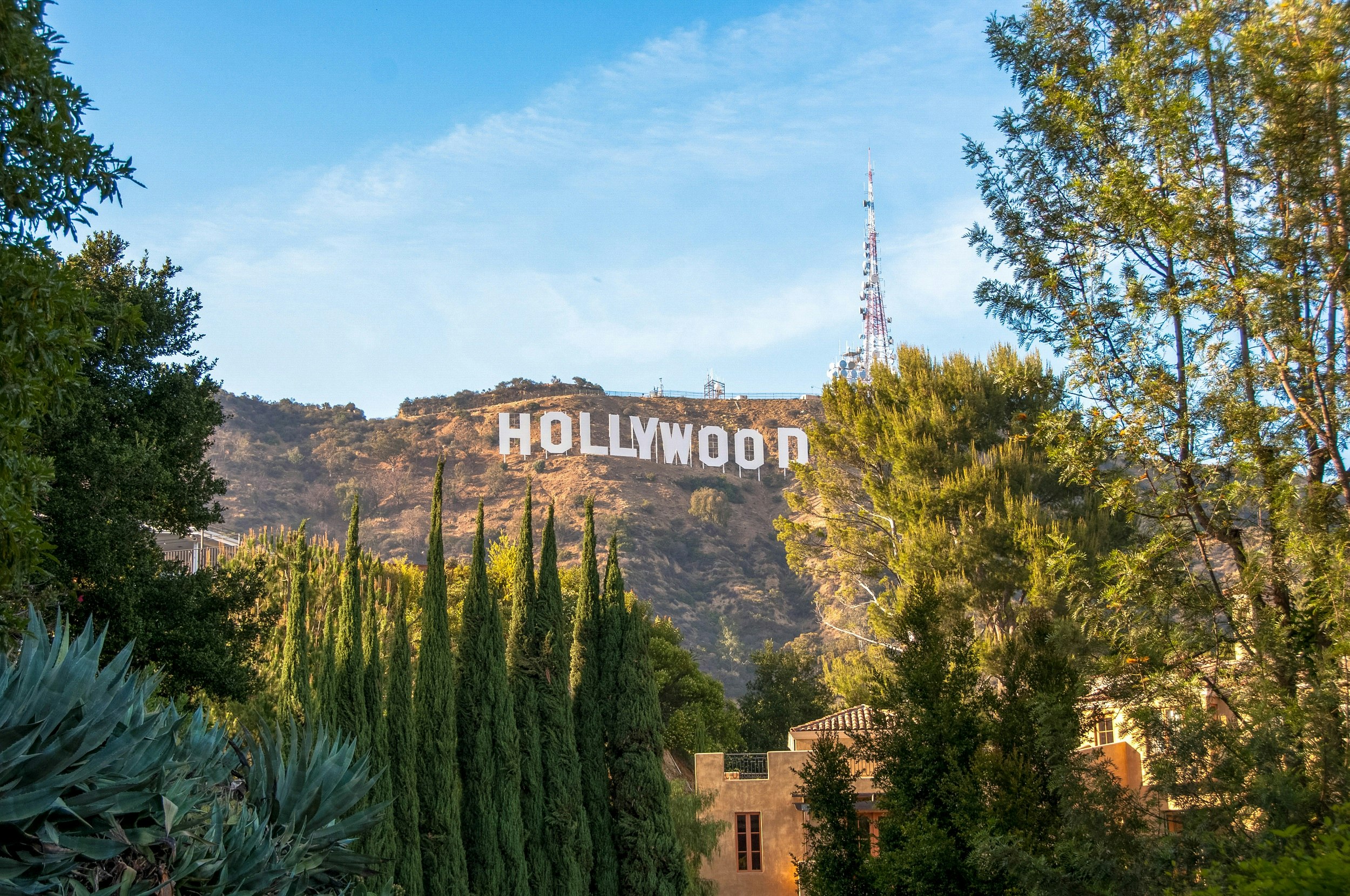 The famed Hollywood sign, comprised of huge white block letters, stands on the side of a forested slope.