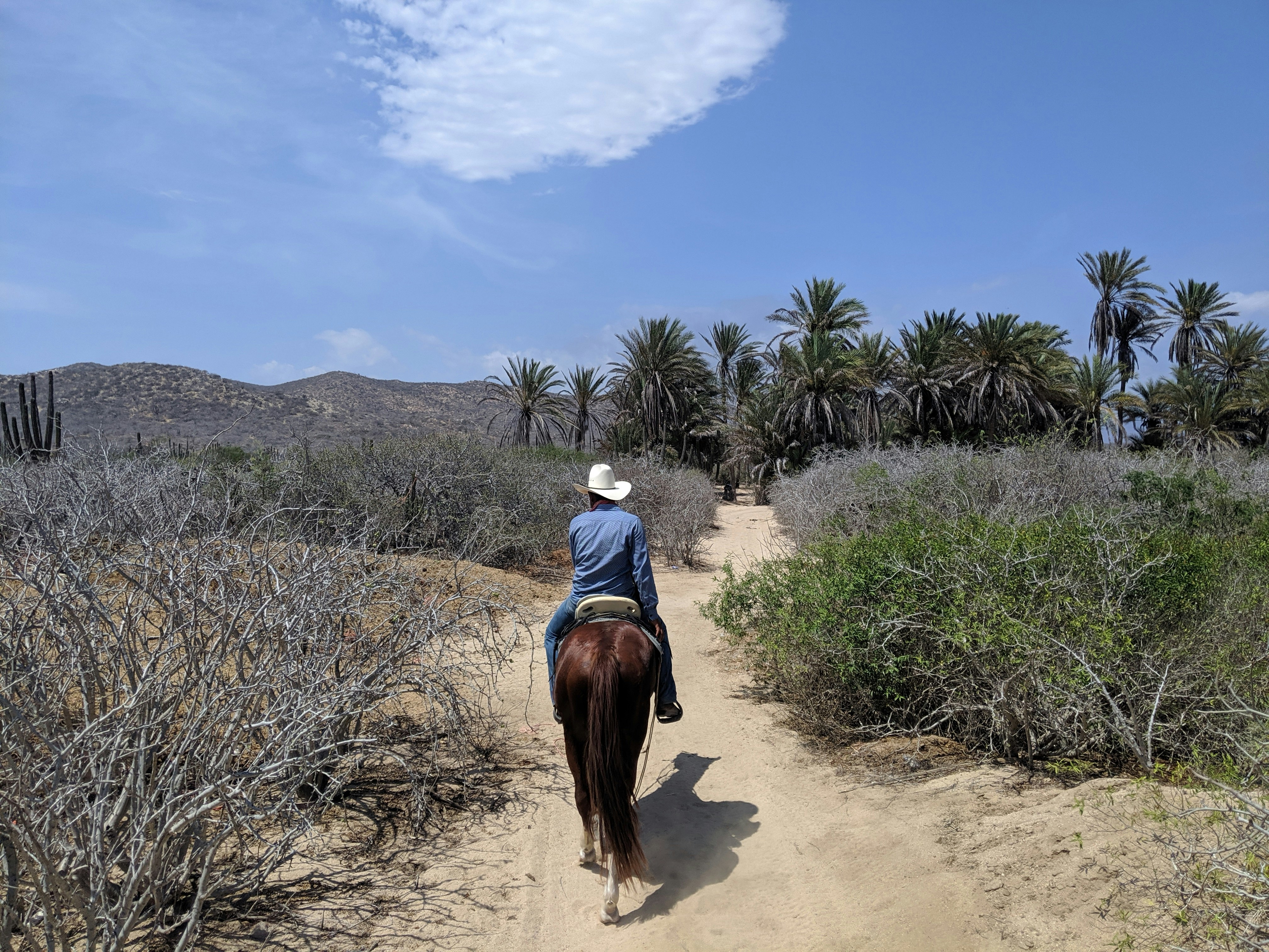 A view of the back of a man riding a horse across arid land