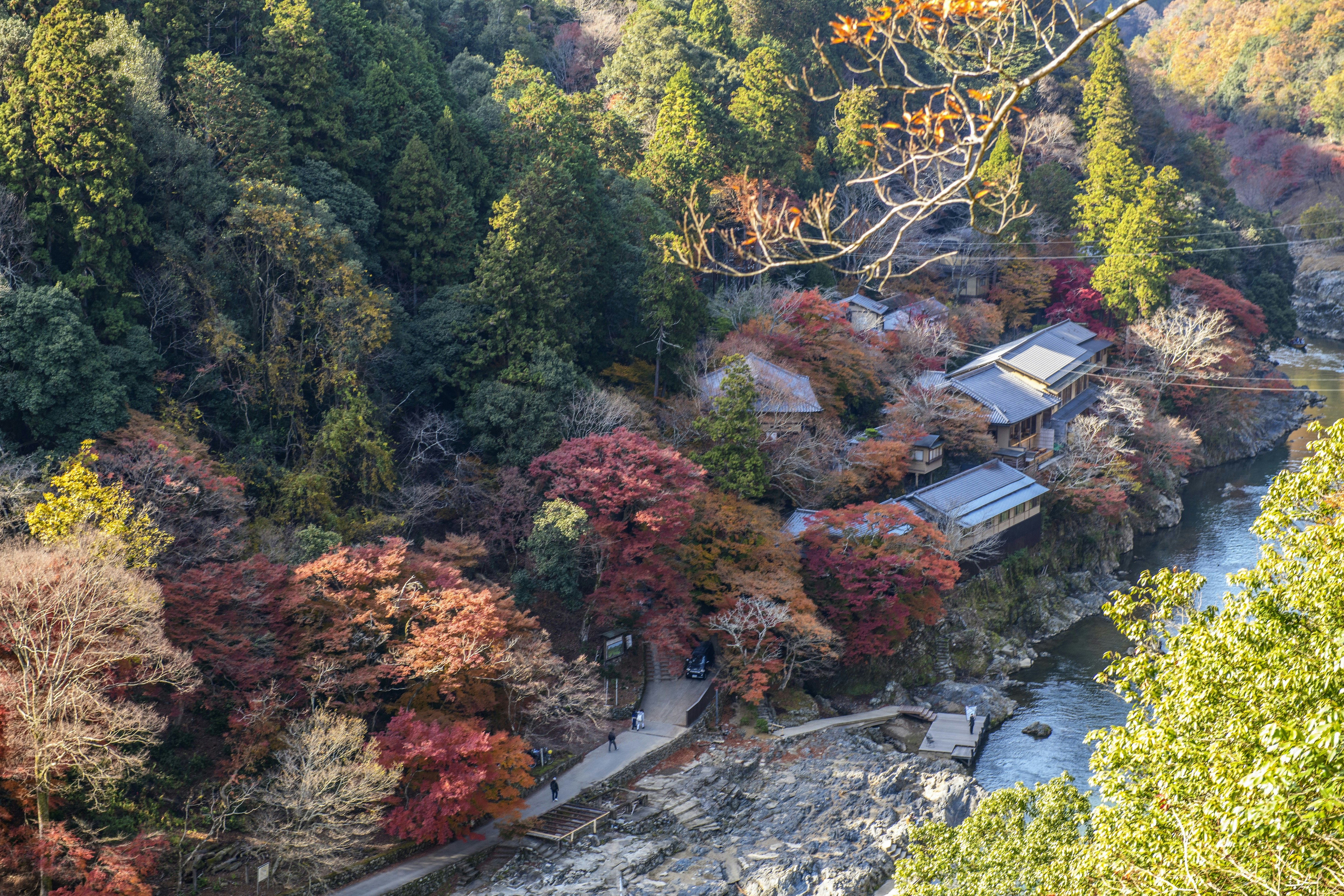 An aerial view of Hoshinoya hotel in Kyoto. The hotel is hidden amongst the trees and located on the banks of a river.