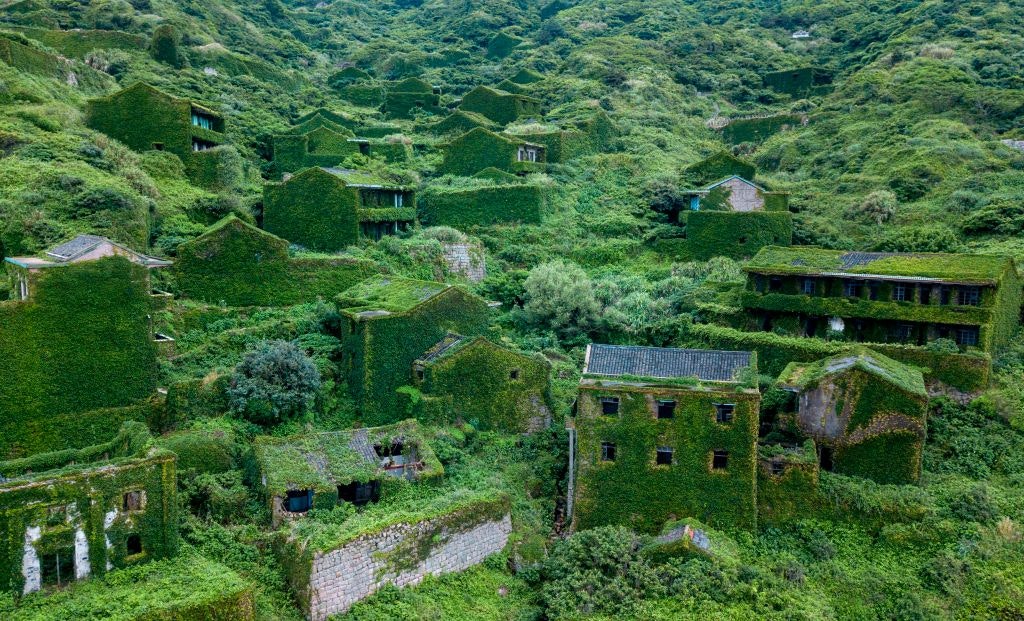 Lush greenery and vegetation have completely engulfed the abandoned village of Houtouwan. Houses on a slope are completely covered in green and overgrown.
