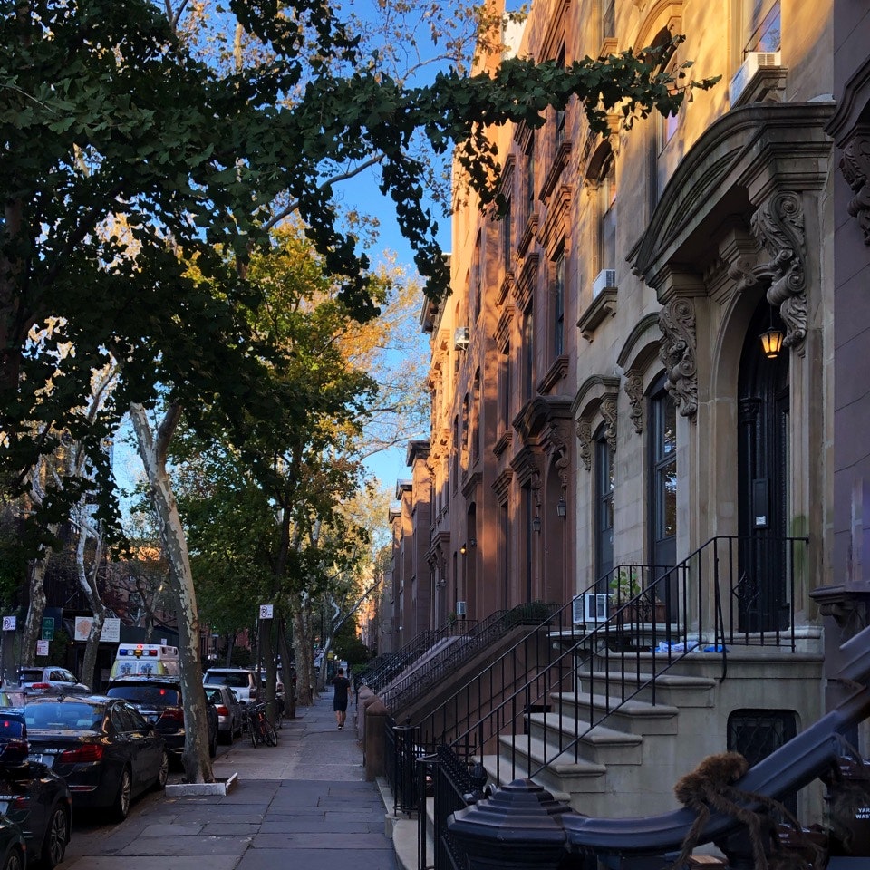 a row of brownstones on Clinton Street in Cobble Hill, Brooklyn