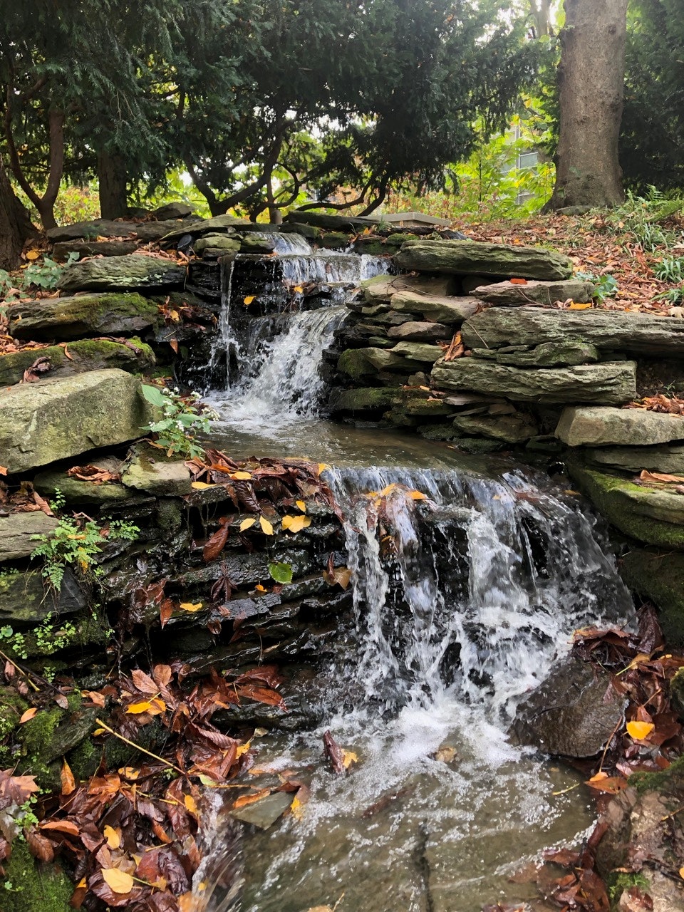 A waterfall near Philadelphia's bioretention pond