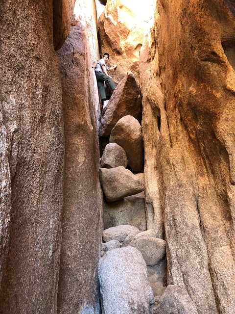 A slend white woman in green hiking pants and a grey t-shirt with a black cap climbs a wedge-shaped rock in the Chasm of Doom in Joshua Tree National Park