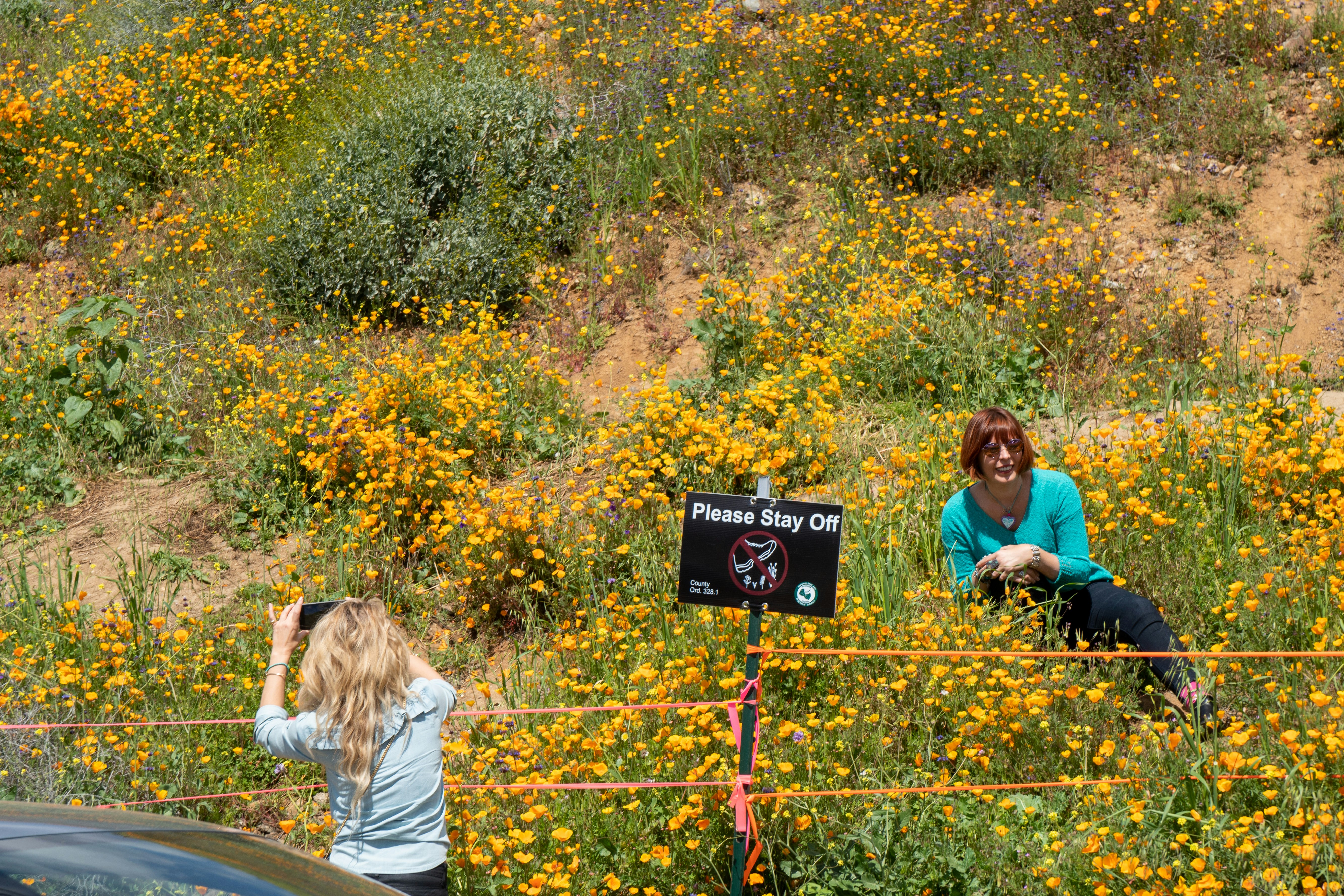 A woman lays on a flower-covered hill as another woman takes a photo. There's a sign that says 'please stay off' in front of the woman. 