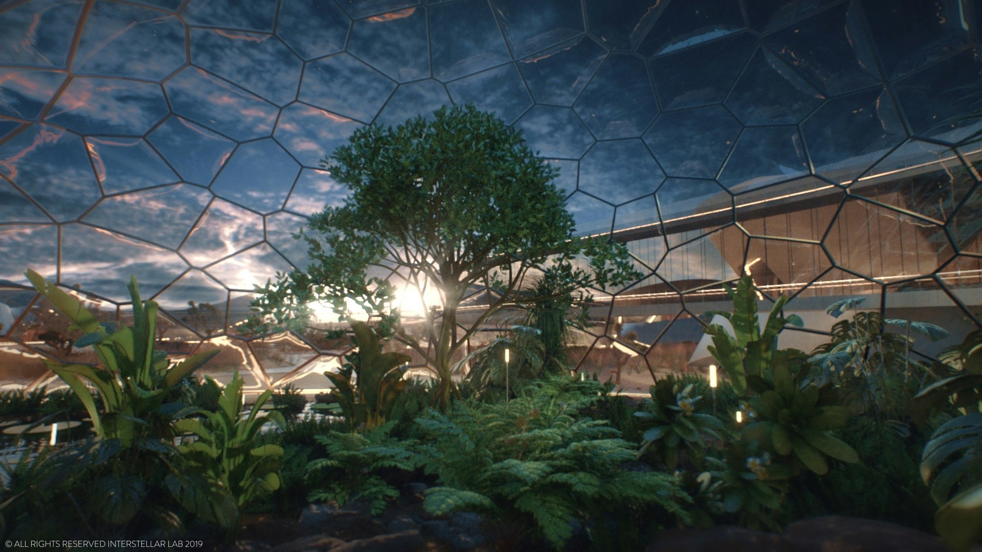 Plants (ferns and trees) inside one of the biodomes