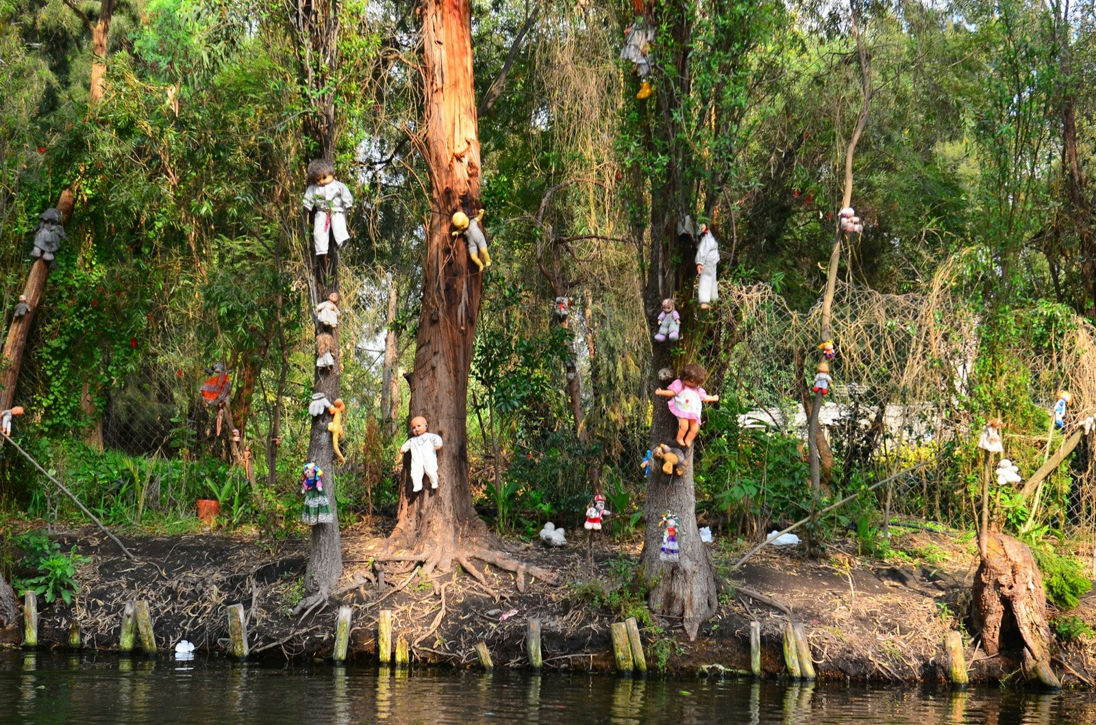 A collection of plastic dolls hang from trees net to a river; haunted places world 