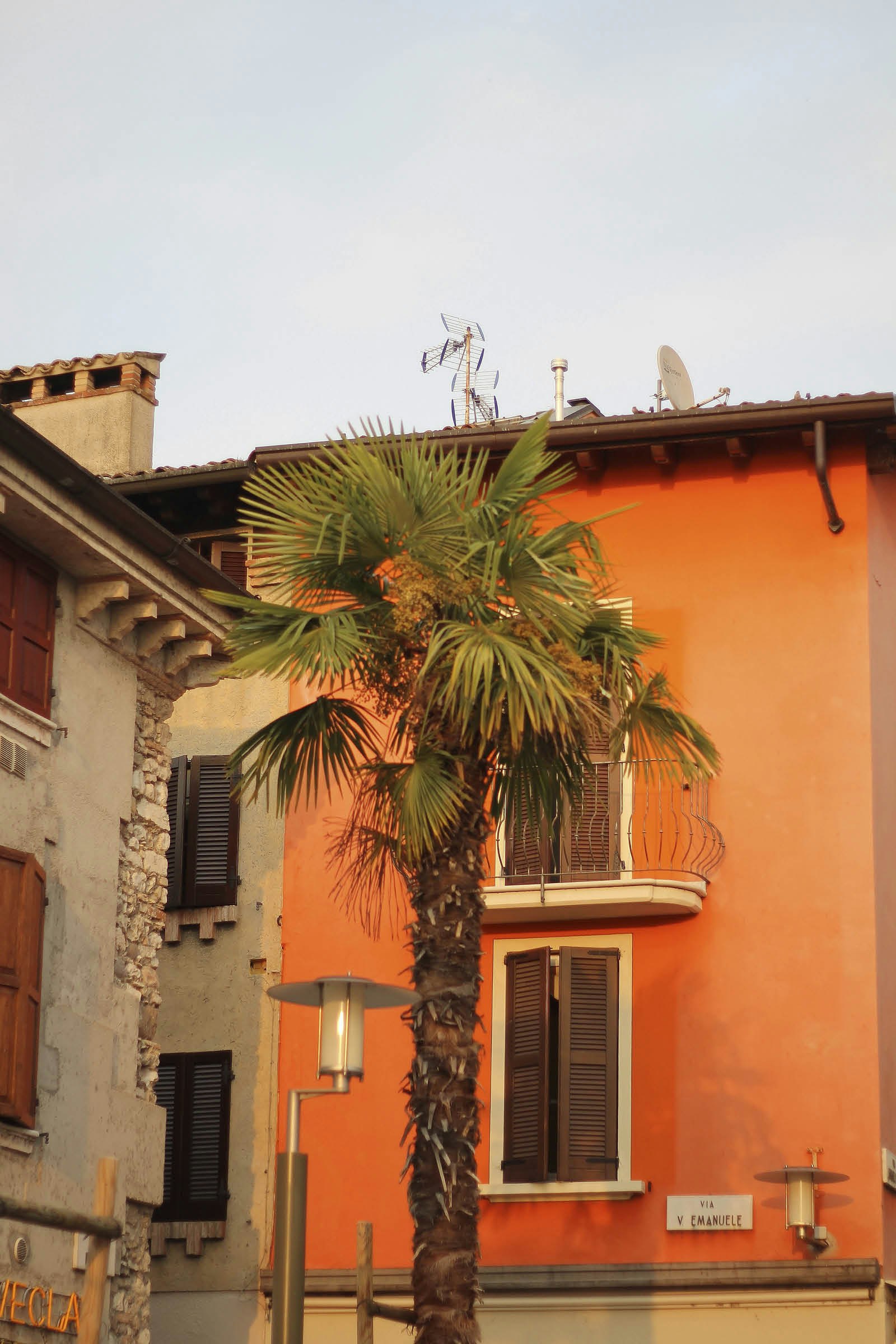 A palm in front of an orange-painted house in the town of Sirmione