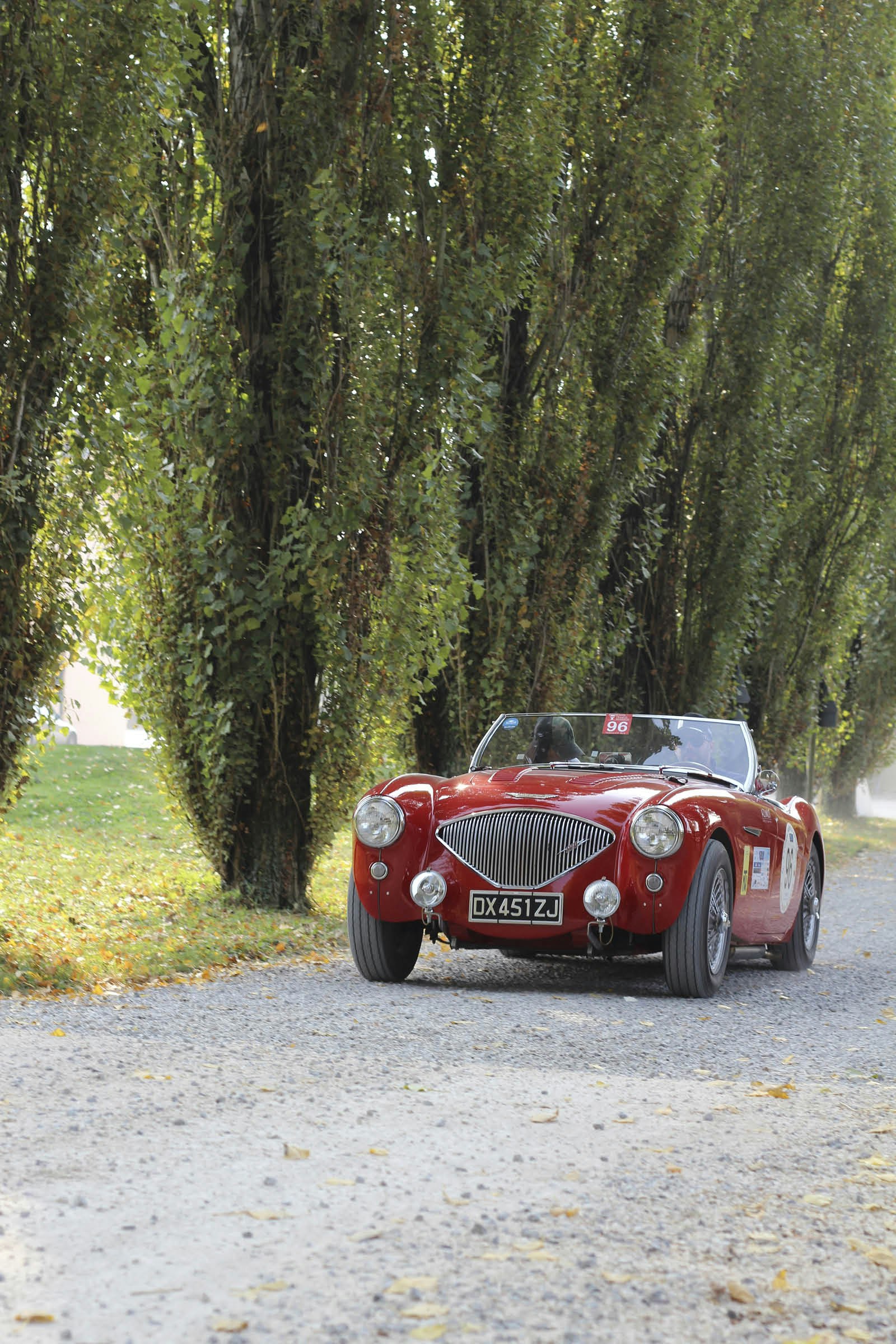 A red 1950s Austin-Healey on a tree-lined gravel road