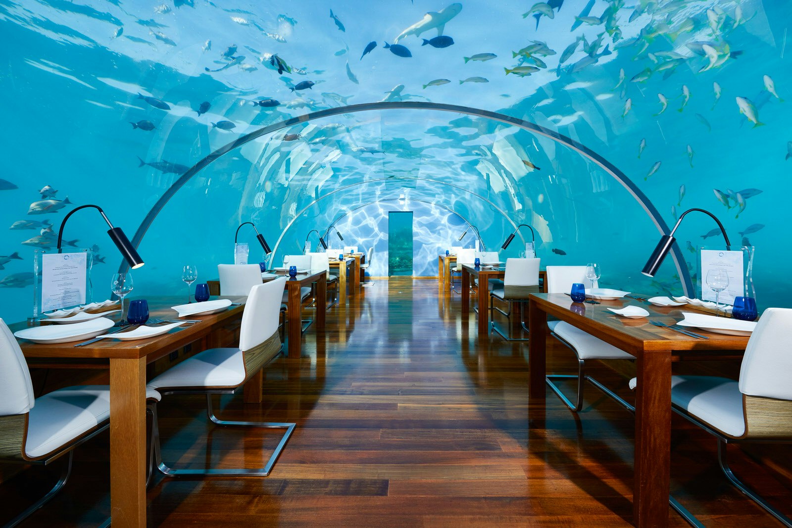 A shot of the interior of Ithaa restaurant in the Maldives. The dining room is five metres under the clear blue sea and there is lots of marine life visible through the perspex walls. The wood panelled floor is set with chic, minimalist chairs and tables