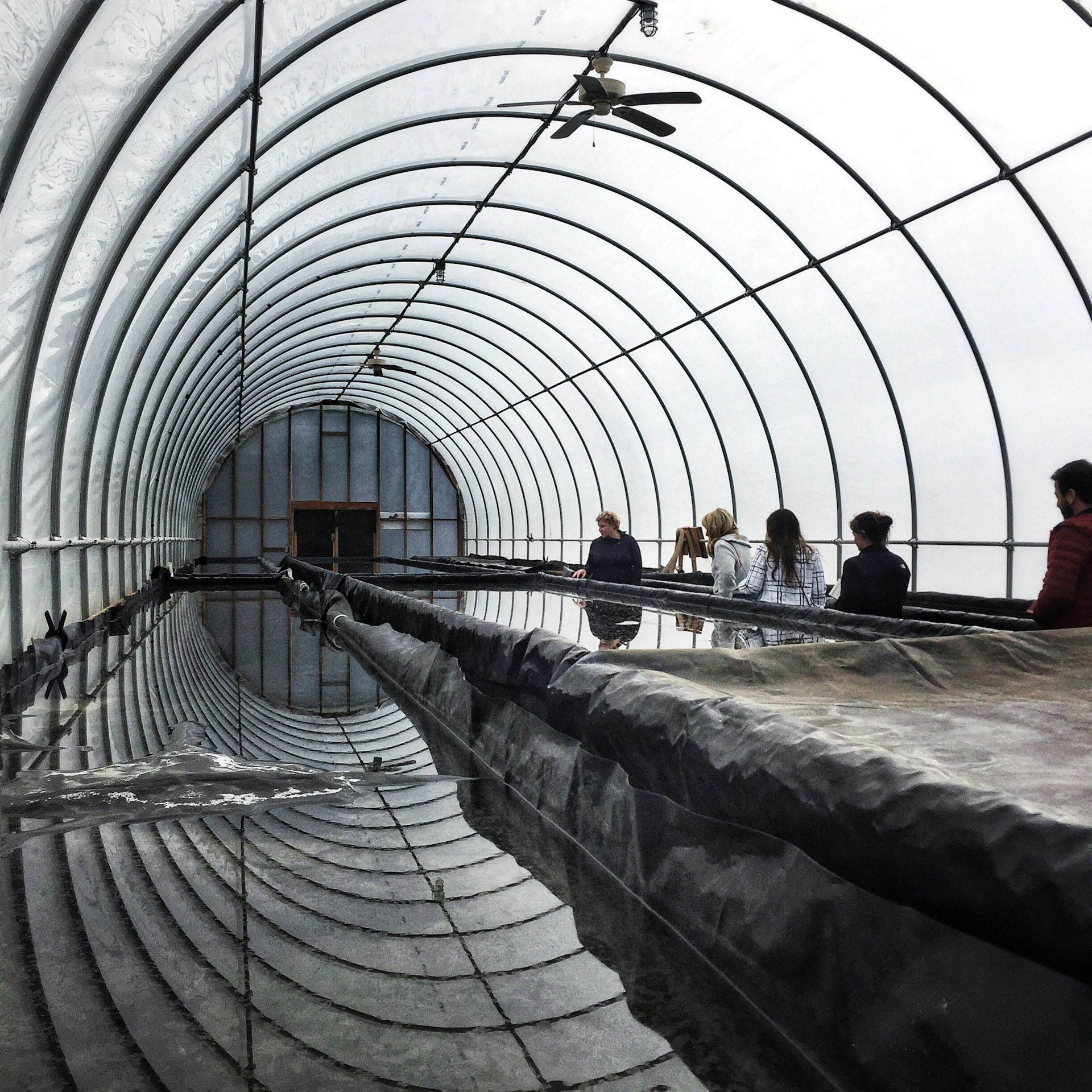 A row of people stand in a long tunnel of plastic sheeting and flexible semi-circular ribs next to a long trough of water from an underground salt lake. The images is in color, but is mostly made up of grey tones as the light filters through the plastic and the water reflects the surrounding structure