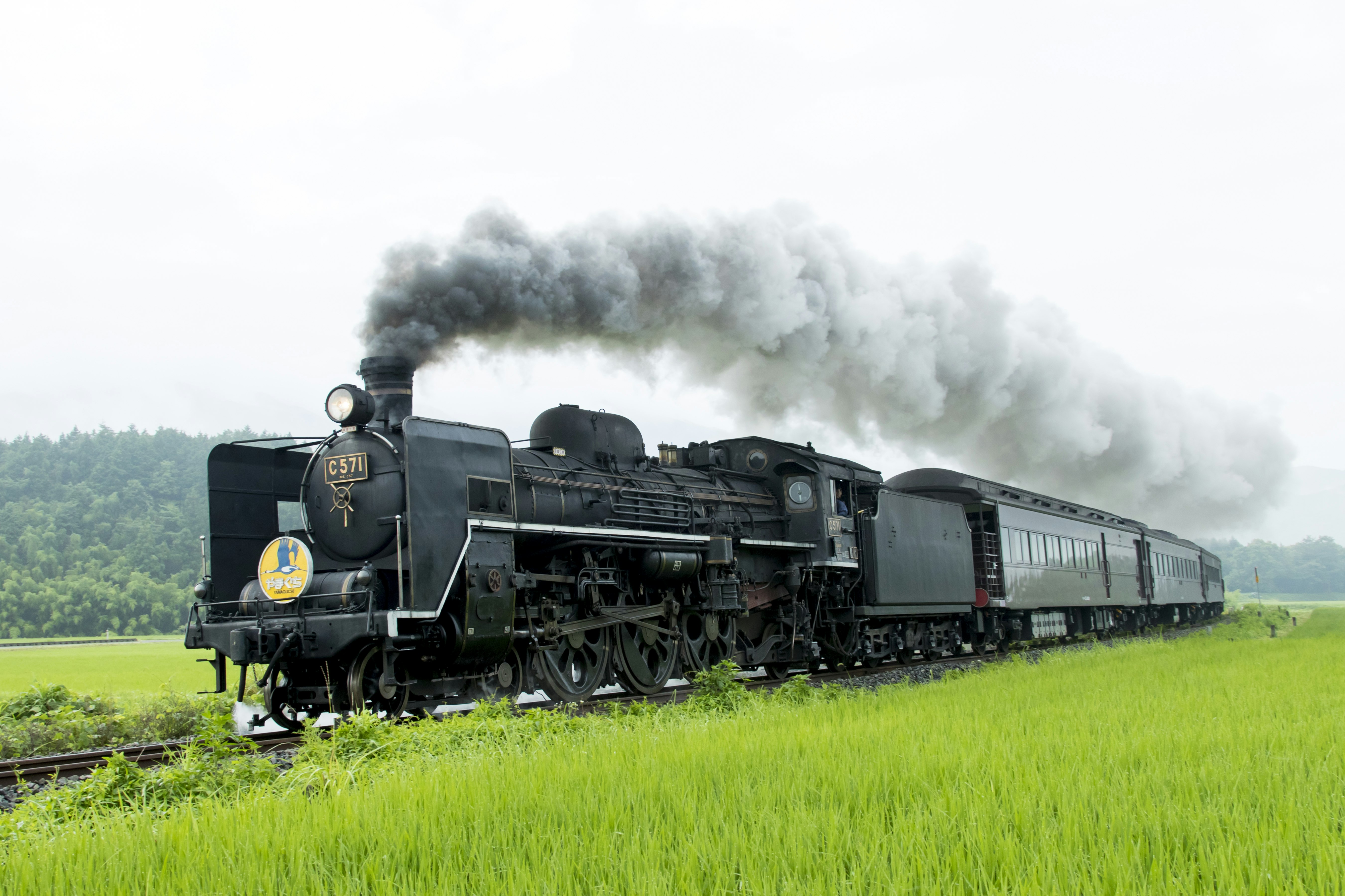 A black locomotive with billowing steam rolls through the lush green Japanese countryside