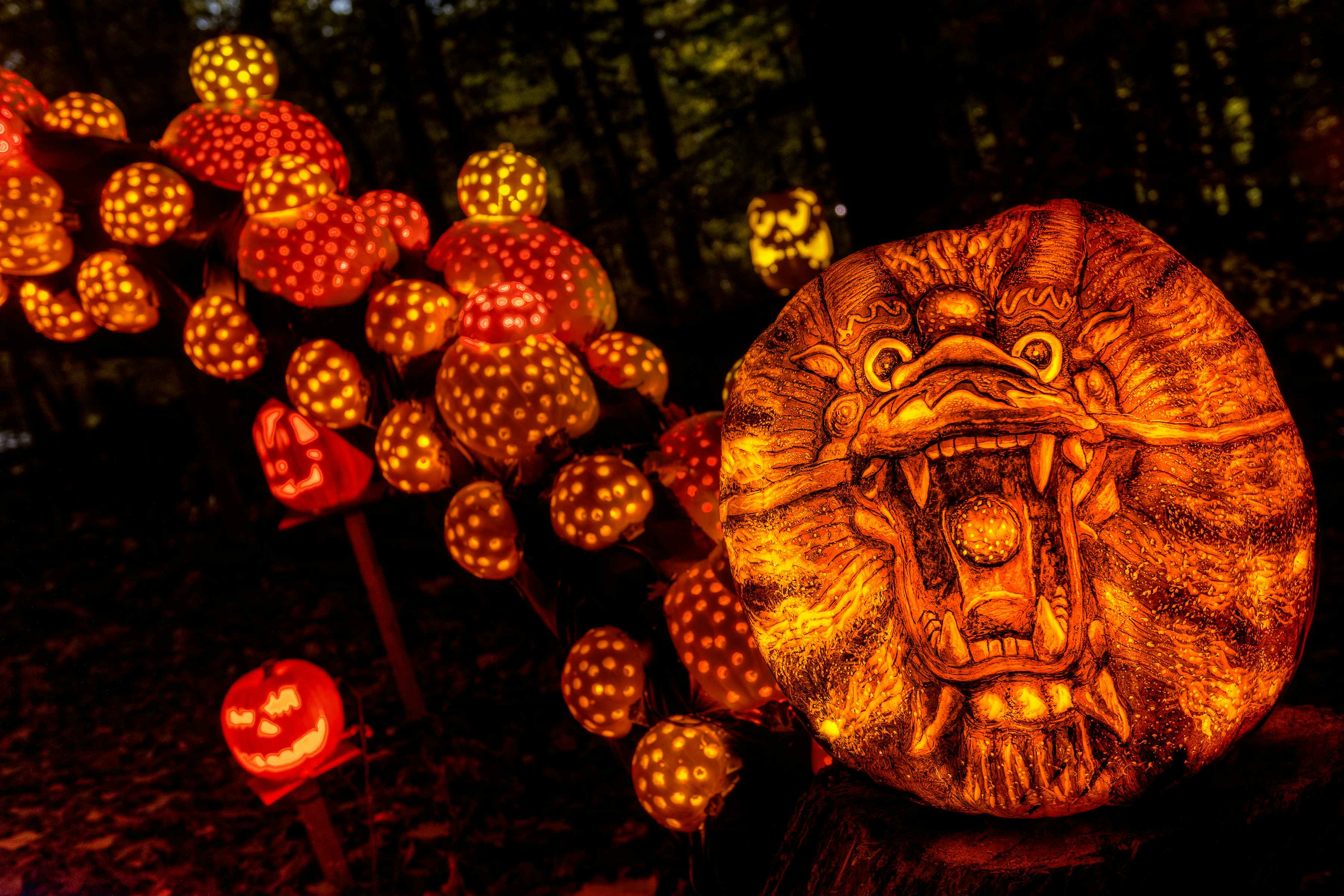 Watch pumpkins become true works of art at the Jack O'Latern Spectacular © Courtesy of Jack O’ Lantern Spectacular