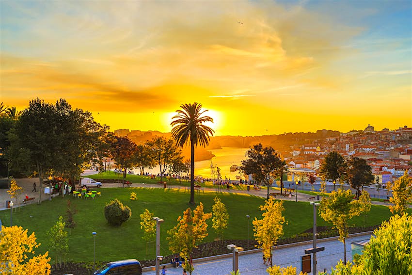 A brilliant golden sun - hidden behind the fronts of a towering palm tree - sinks towards the horizon and paints the lower portion of the sky a vibrant yellow; whispy clouds still the upper portion of the blue sky. People gather on benches at the bottom of a grassy slope to watch the sunset and the River Douro below.