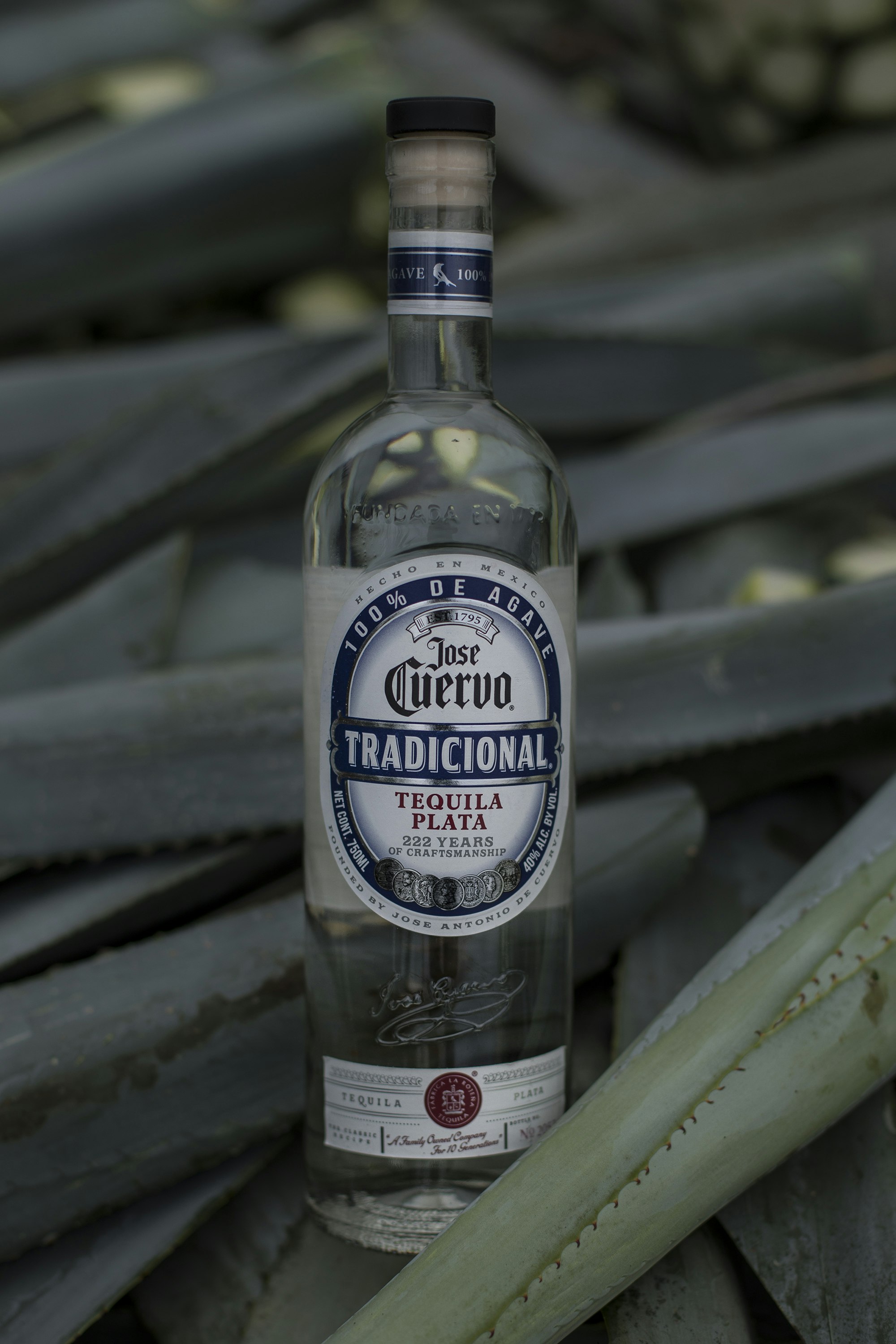 Jose Cuervo bottle of tequila.jpg