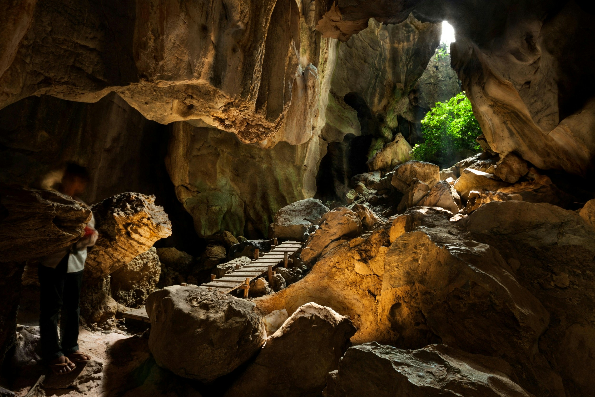 Looking outward from a complex cave system, light shines down into the cave onto a vibrant green tree at the entrance; a makeshift wooden platform descends down into the cave.