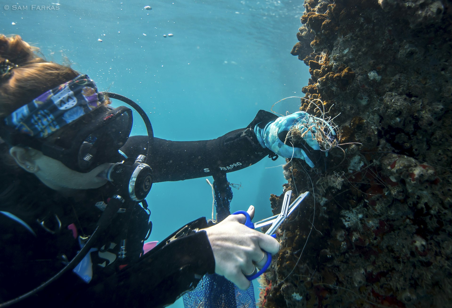 The Loggerhead Marinelife Center's Katie O'Hara removing debris from an underwater pier