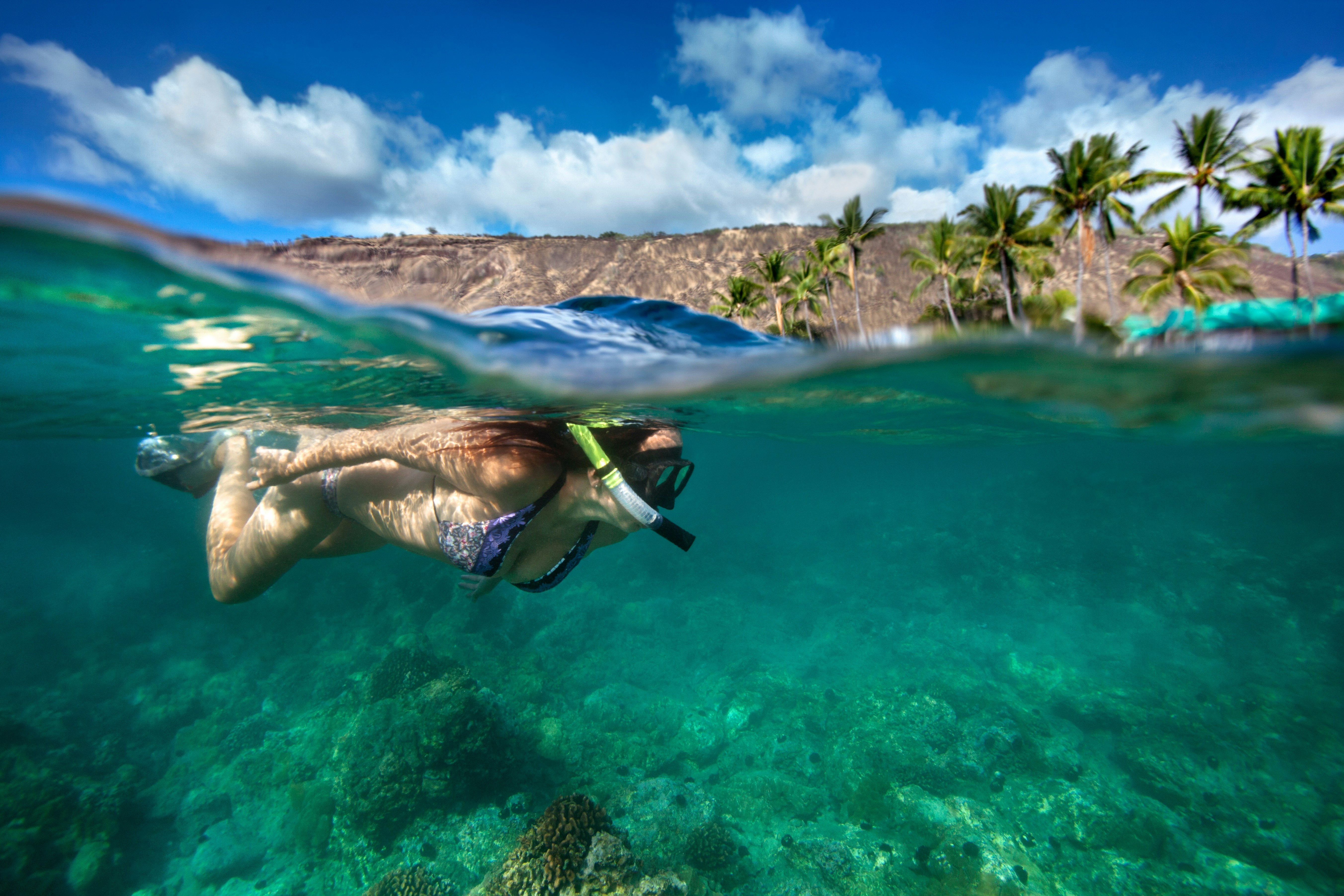 A woman goes snorkeling in a clear bay with coral, in a shot taken half in and half out of the water; Big Island experiences
