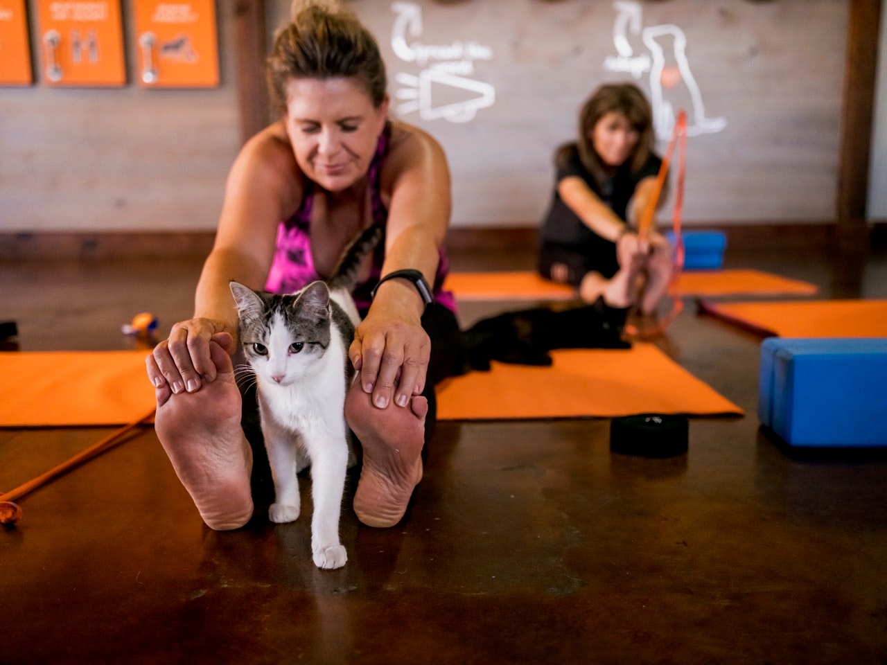 Woman doing yoga with a kitten in Kenab, Utah
