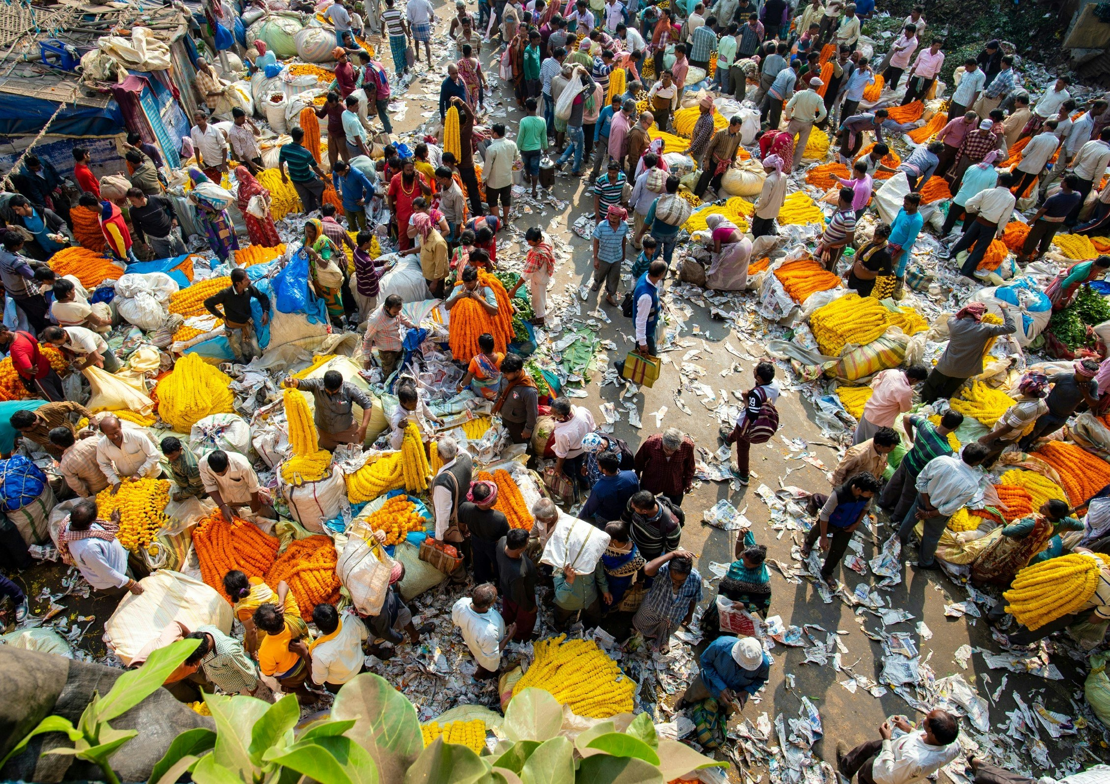 An elevated view of Mullik Ghat Flower Market in Kolkata; hundreds of vendors and buyers fill the colourful scene.