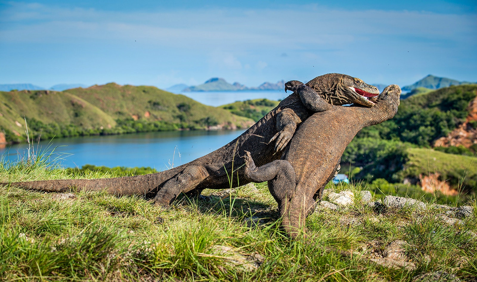 Lonely Planet Indonesia's Eastern Islands