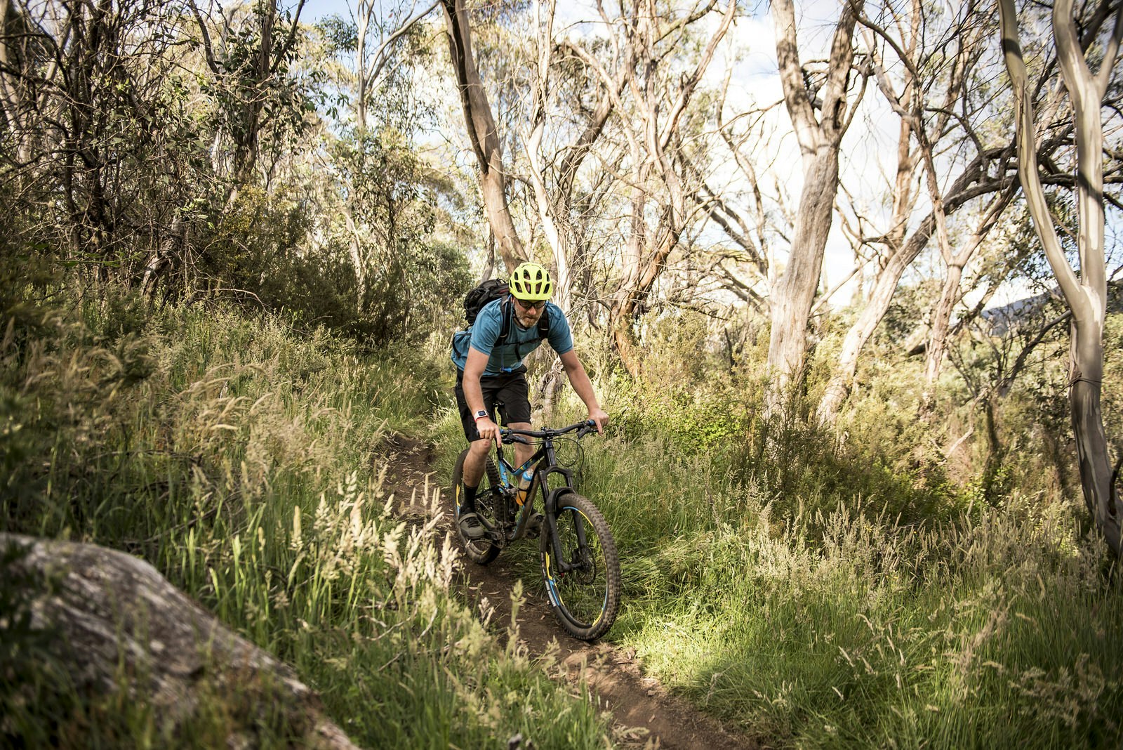 A man rides his mountain bike through different areas of Mount Kosciuszko National Park, in New South Wales, Australia; he's on a narrow track between long grasses, large rocks and tall trees.