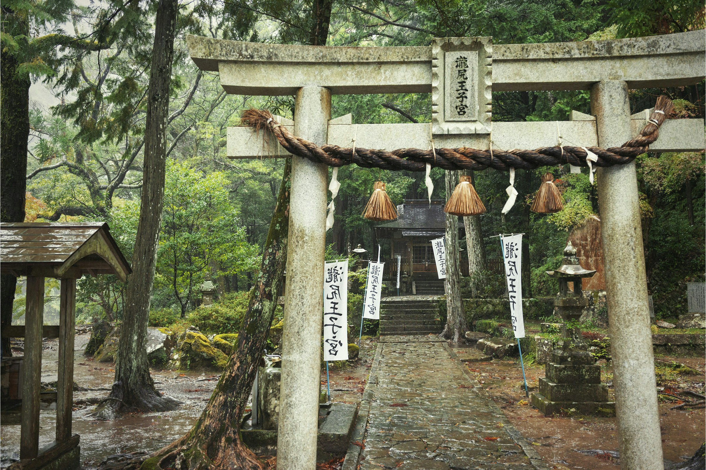 A shimenawa (rice straw rope) hangs at the shrine's entrance gate