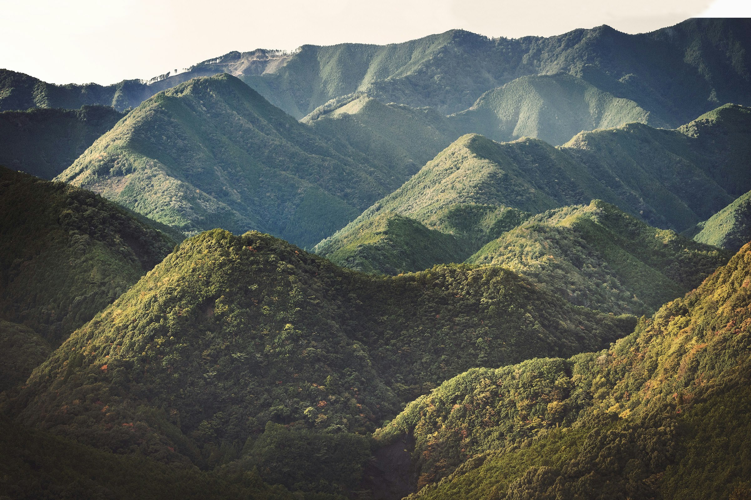 Thick forest blankets the ridges and valleys around Takahara