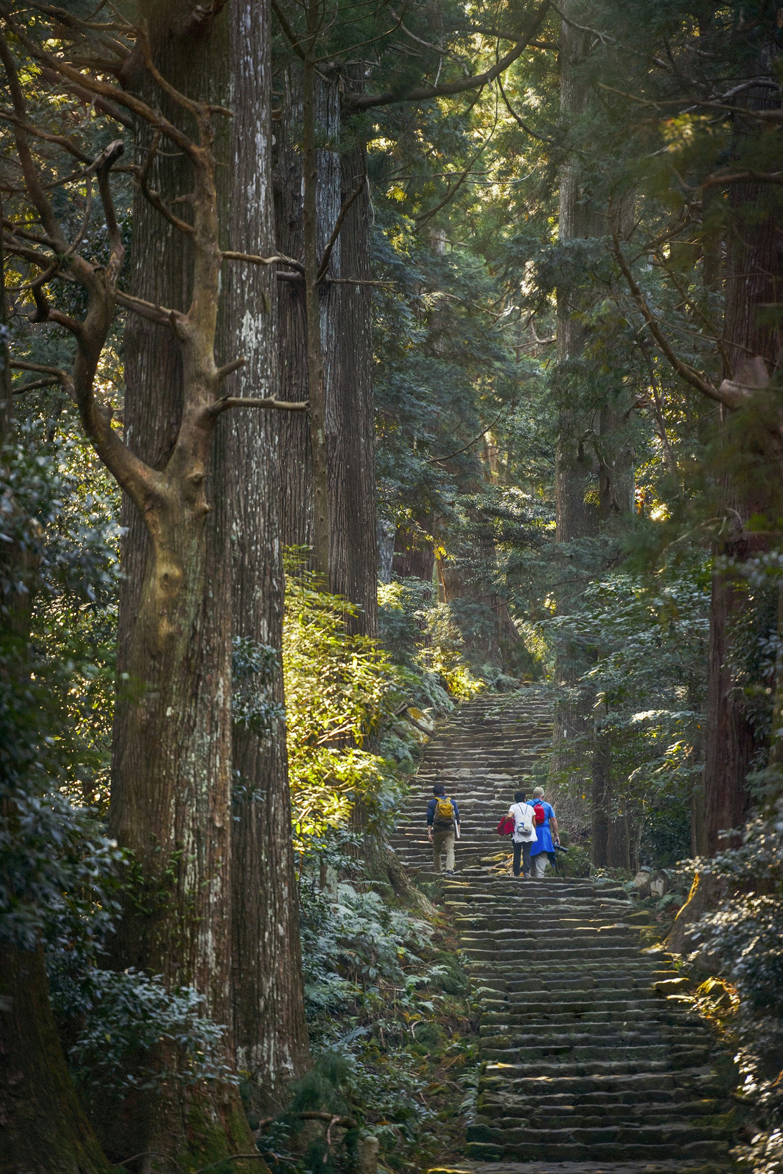 Three hikers climb the well-worn stone steps of Daimon-zaka