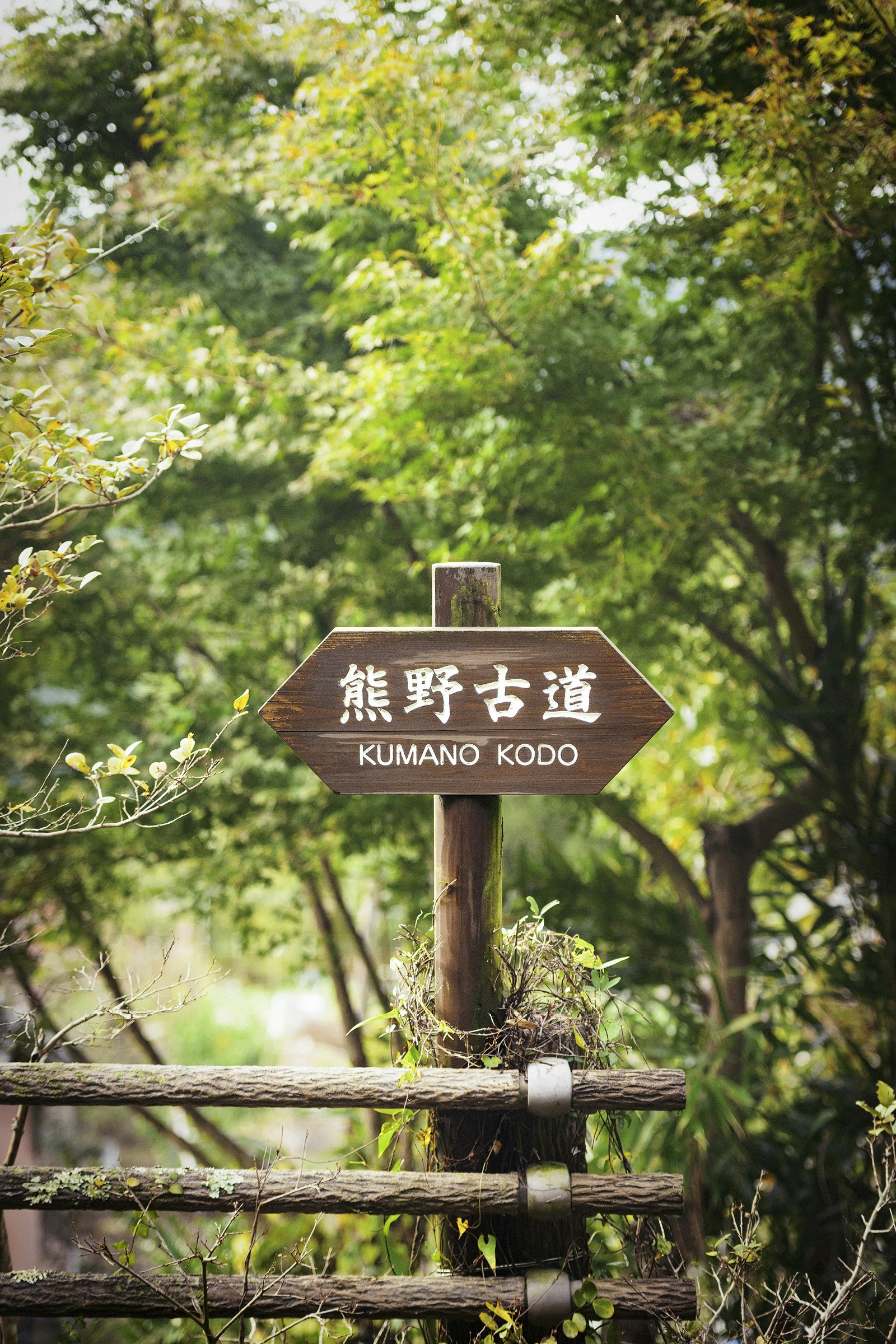A route marker on a forest stretch of the Kumano Kodō