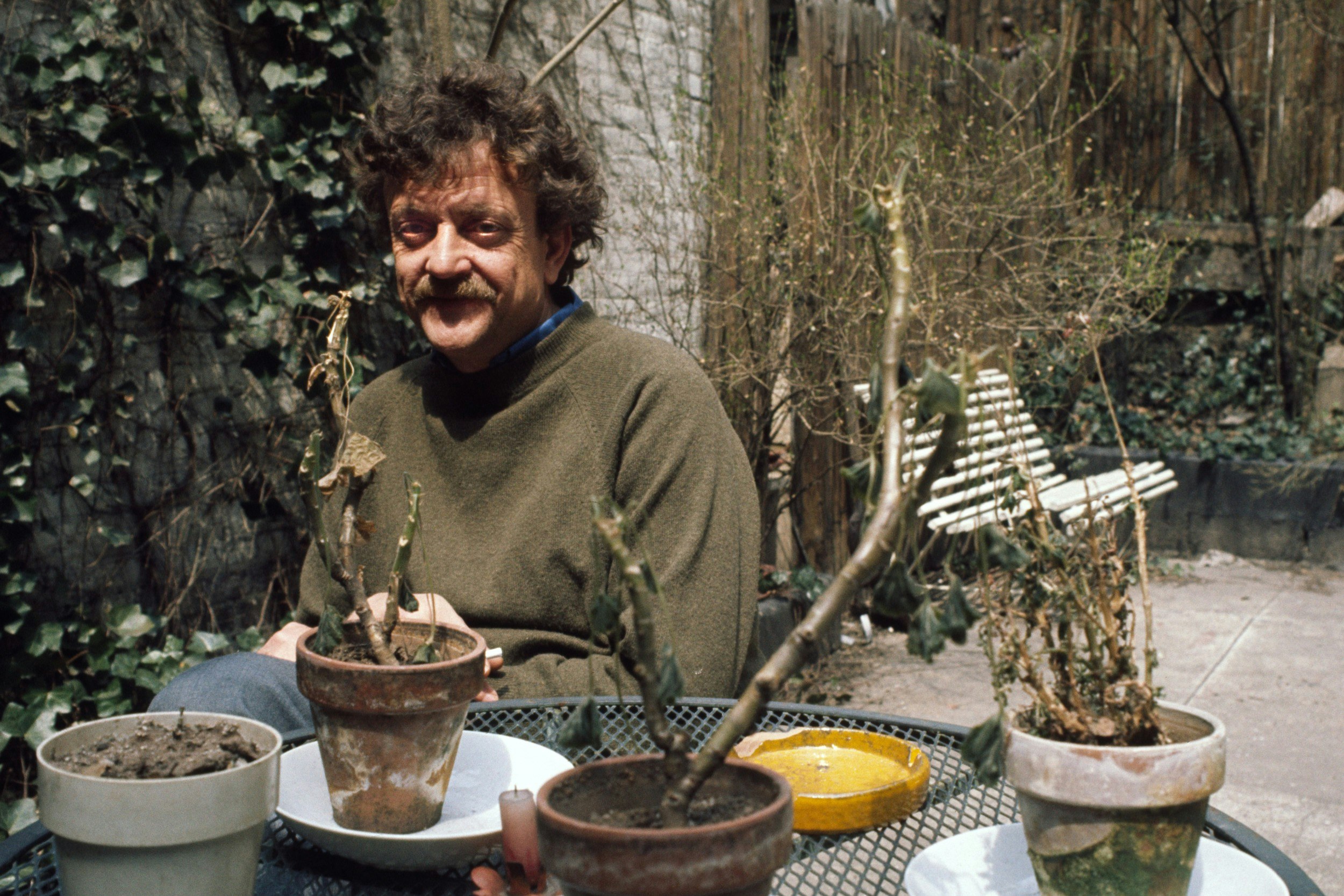 Writer Kurt Vonnegut at home in his garden surrounded by plants and a bench