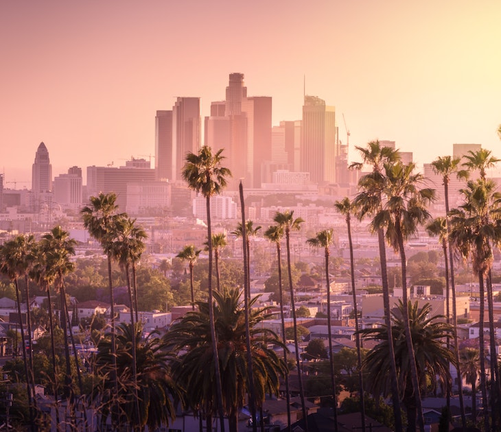 A line of palm trees sit at the foreground of a photo of the LA skyline during dusk; LA vs. South Bend