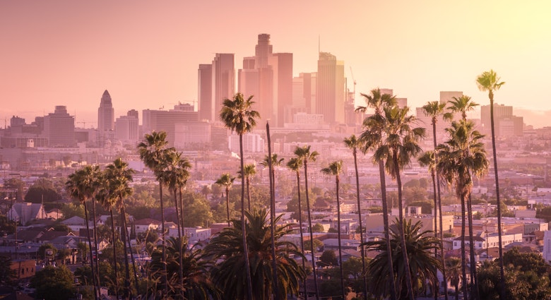 A line of palm trees sit at the foreground of a photo of the LA skyline during dusk; LA vs. South Bend