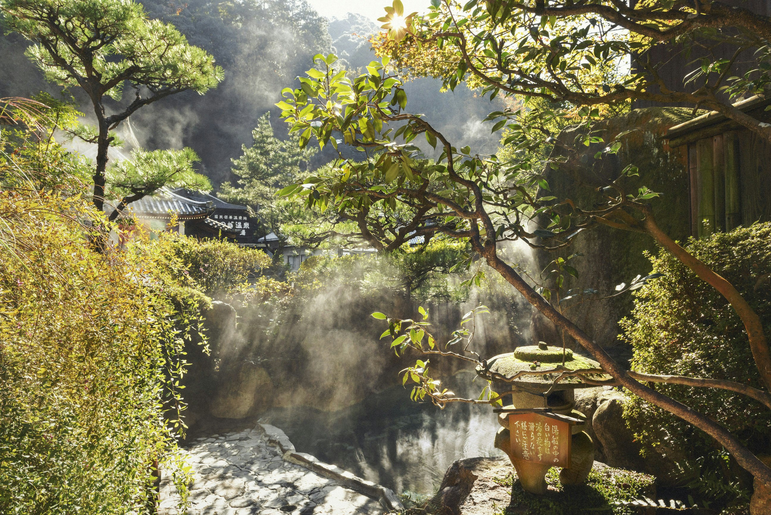 An outdoor onsen in Yunomine surrounded by green trees and foliage