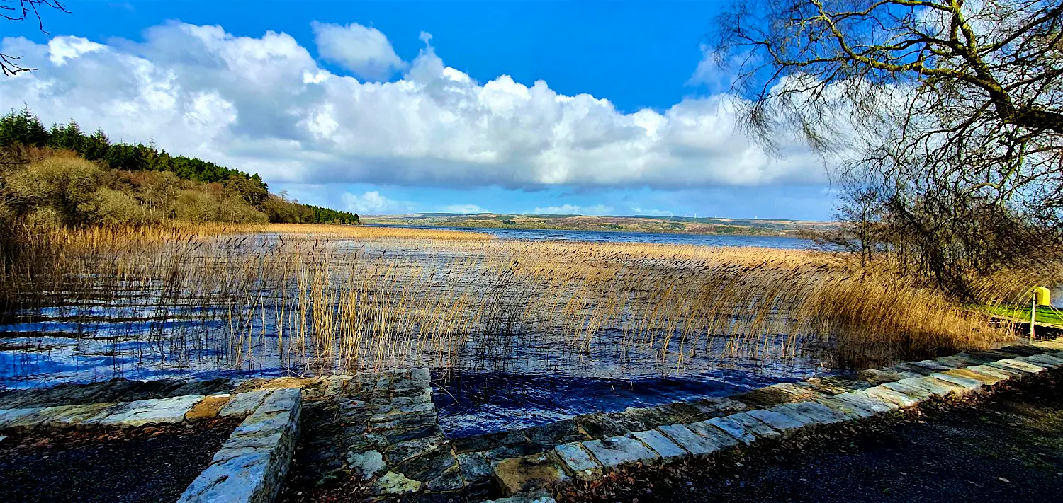 Lakeland Sligo.jpg Lakeland Sligo.jpg