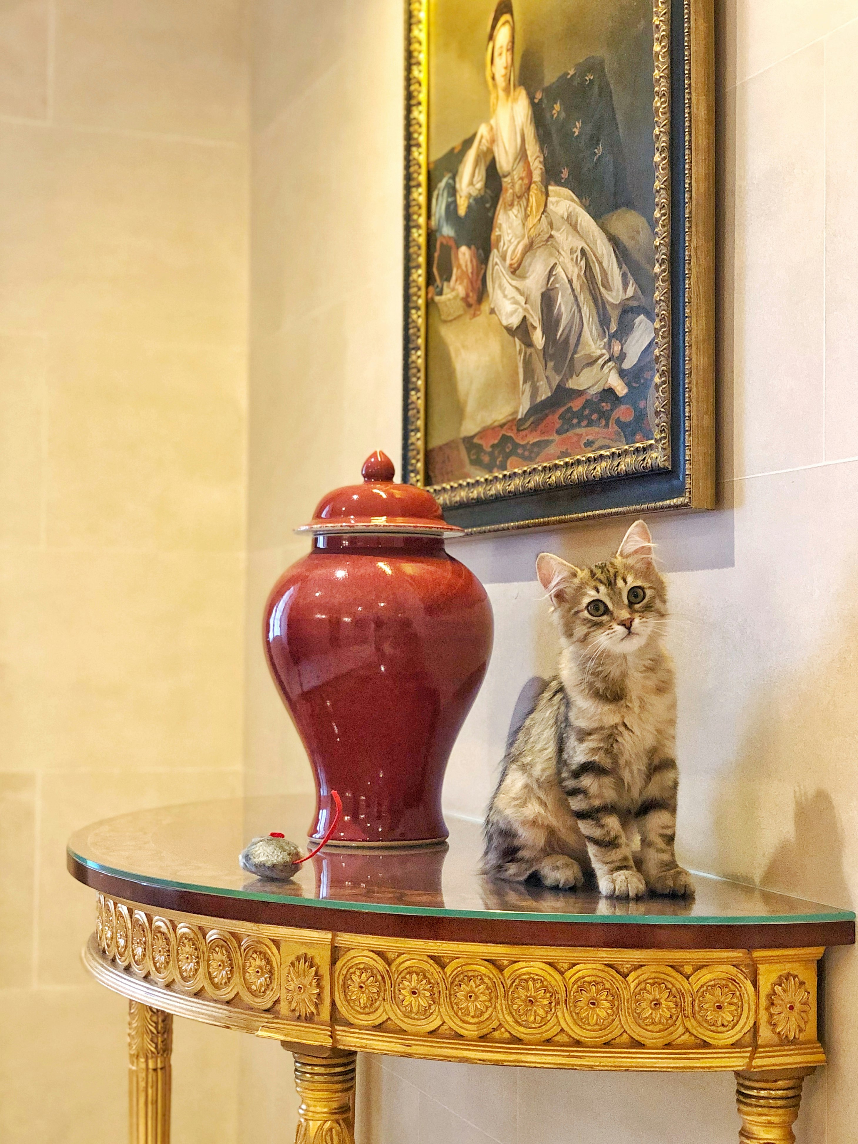 Lilibet the cat sits beside an antique vase on the hotel stairwell