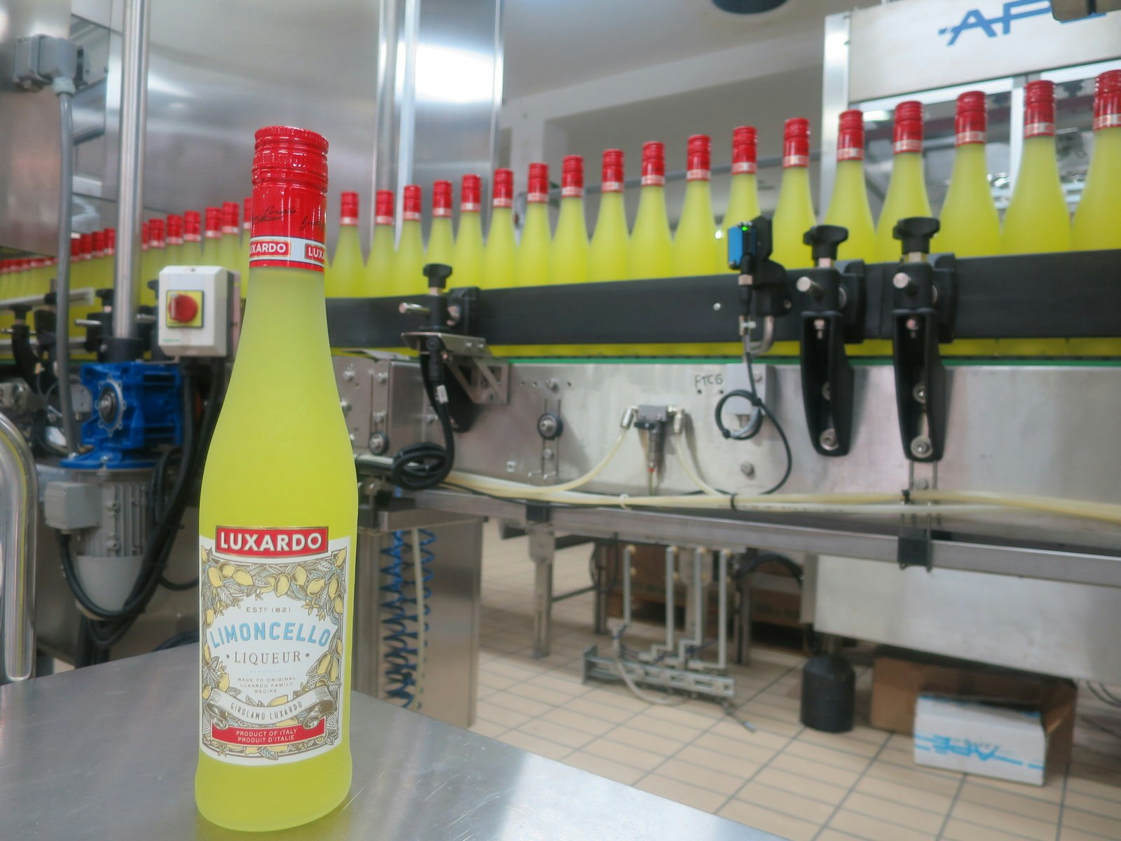 A line of filled limoncello bottles are processed by machinery to be topped and boxed at Luxardo distillery. There is a single finished bottle in the foreground on a stainless steel surface. 
