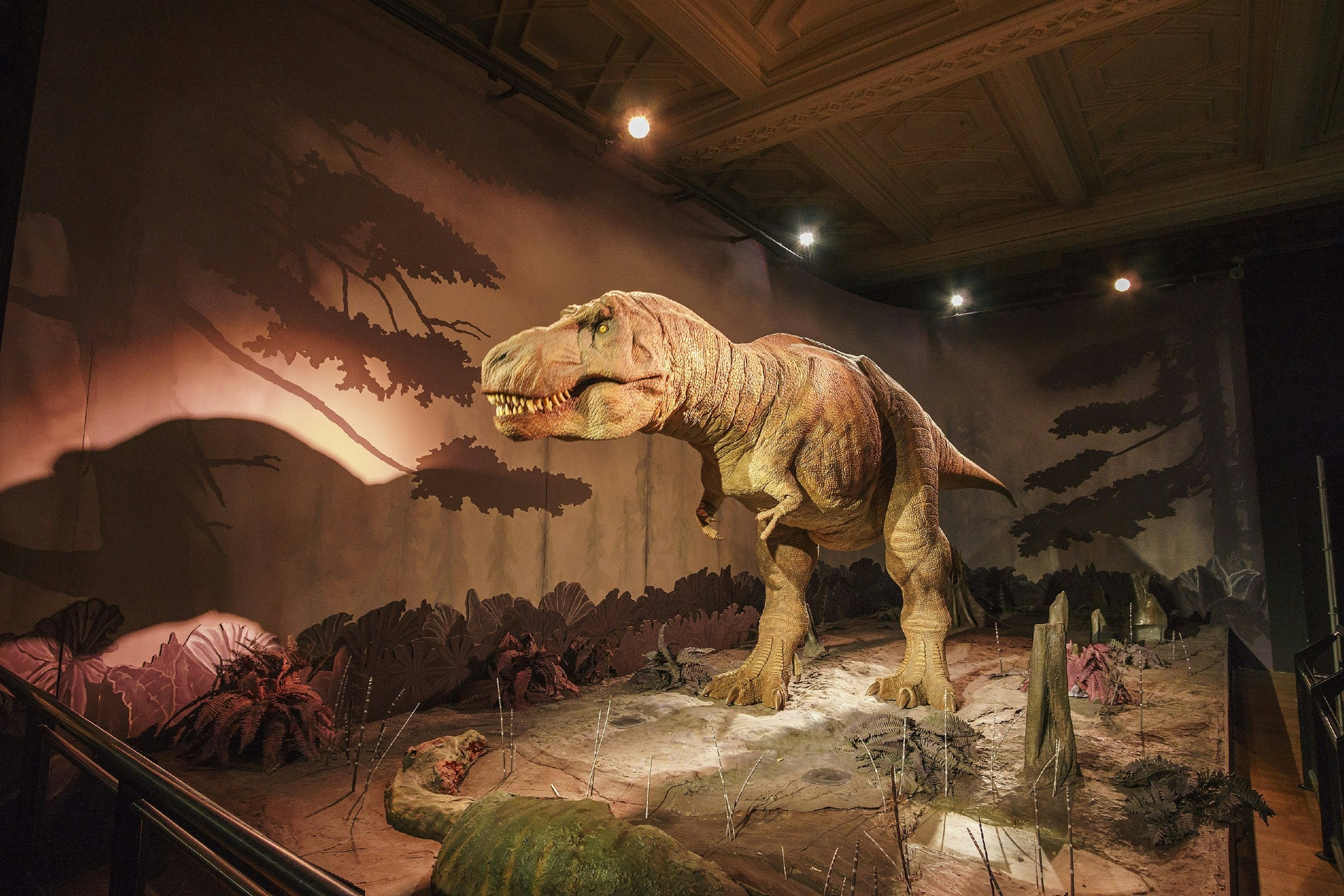 A moving tyrannosaurus rex, photographed inside the Natural History Museum in 2017. 