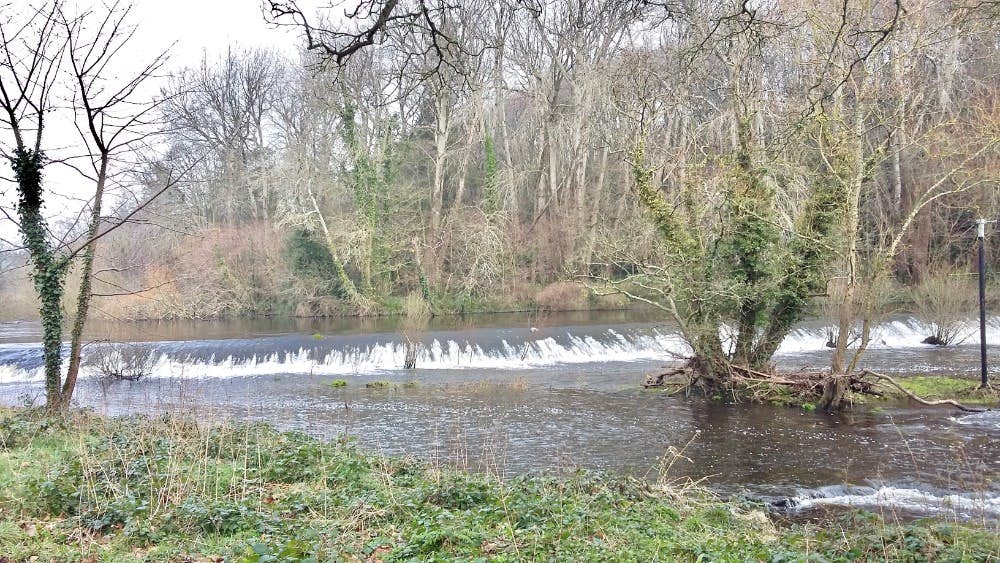 The lake at Lucan Demesne is very soothing