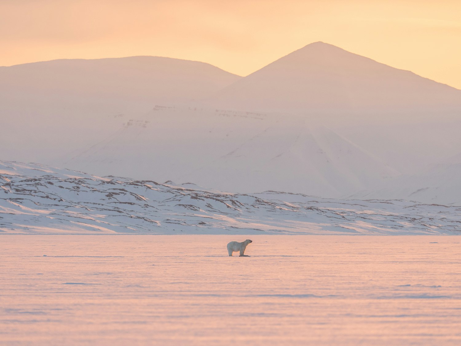 For one month, you can spend the night in an igloo at the North Pole -  Lonely Planet