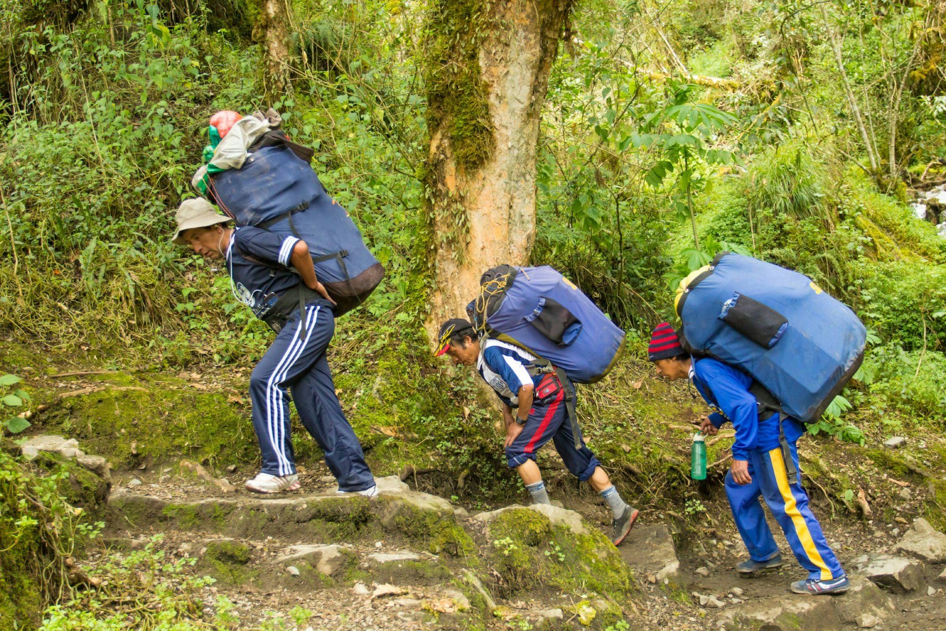 Peruvian porters with loaded packs carrying camping gear for hikers on the Inca Trail at Machu Picchu